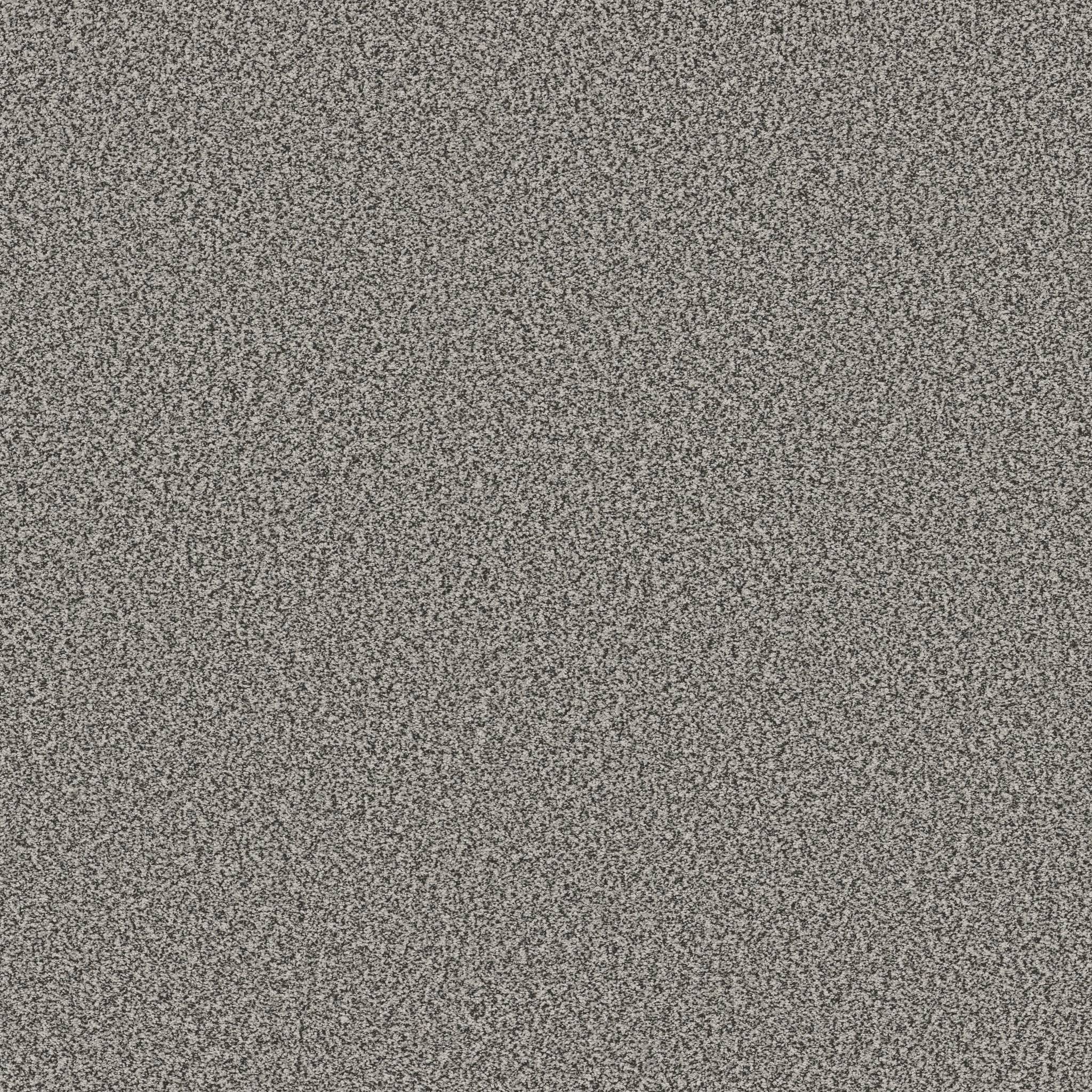 Gold Star Prominence Carpet - Putty Zoomed Swatch Image