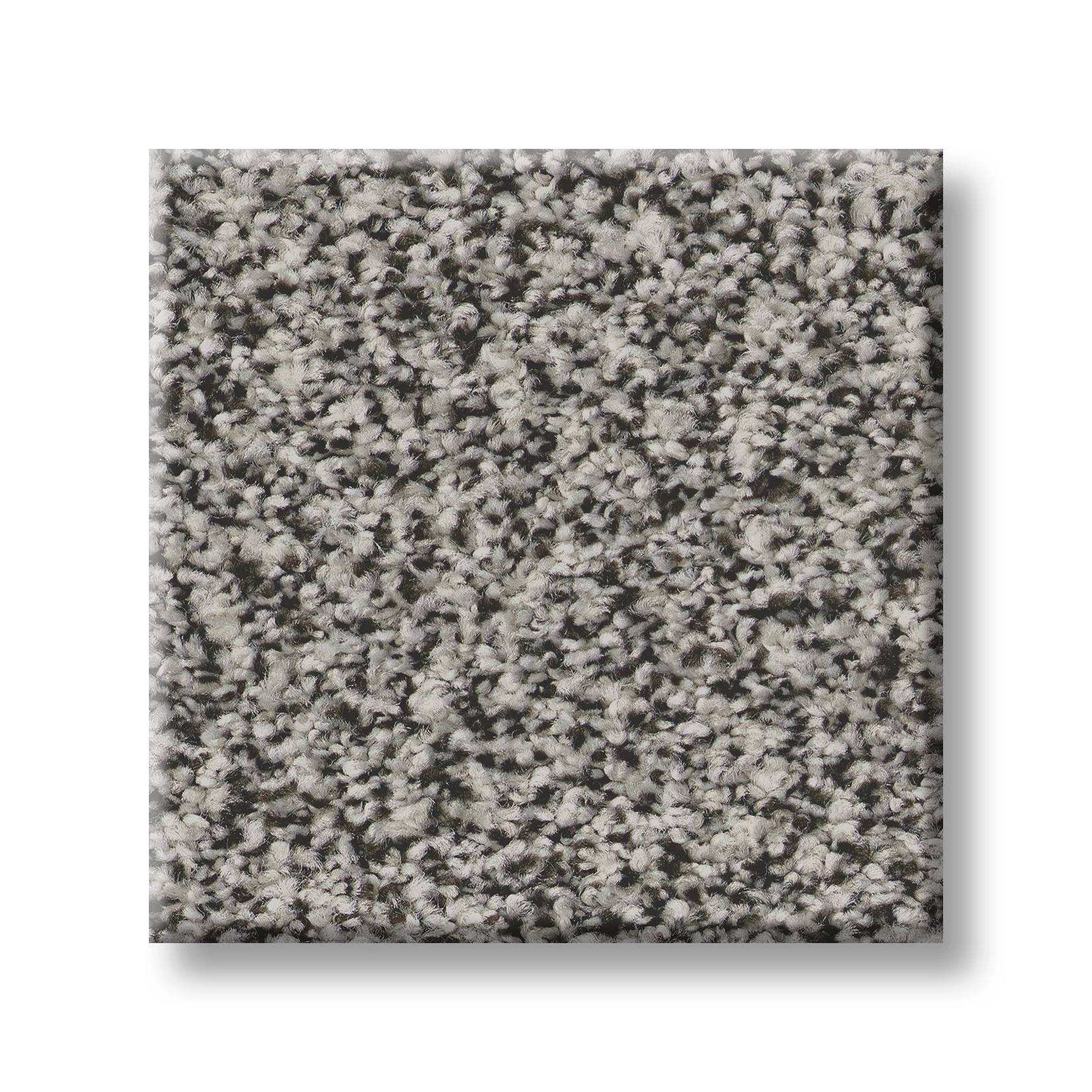 Gold Star Prominence Carpet - Putty Swatch Thumbnail pupop1