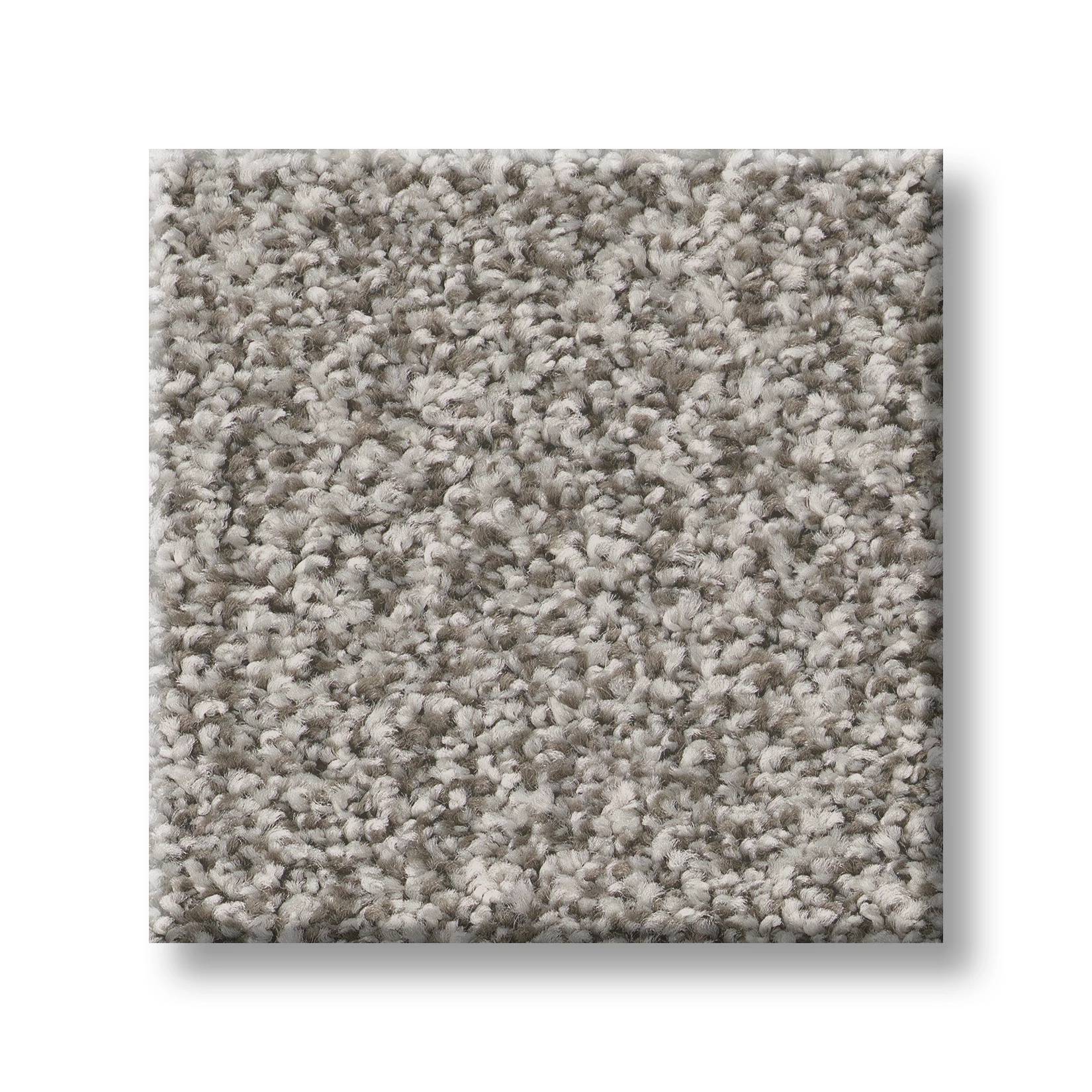 Gold Star Prominence Carpet - December Frost Swatch Thumbnail pupop1