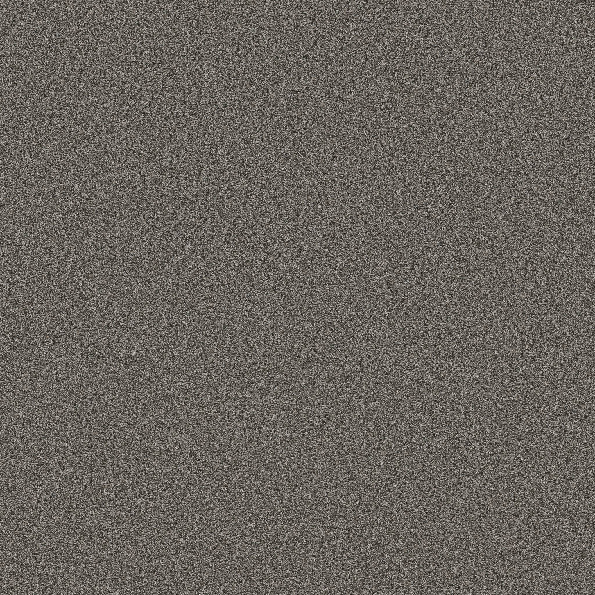 Gold Star Prominence Carpet - Wood Smoke Zoomed Swatch Image