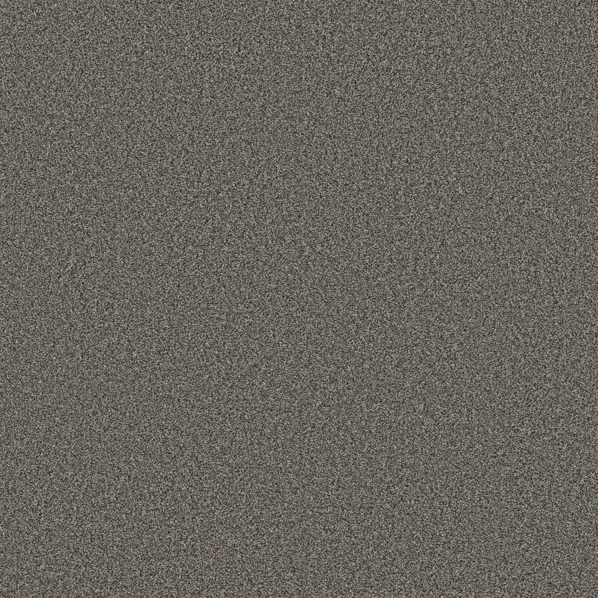 Gold Star Prominence Carpet - Wood Smoke Zoomed Swatch Image