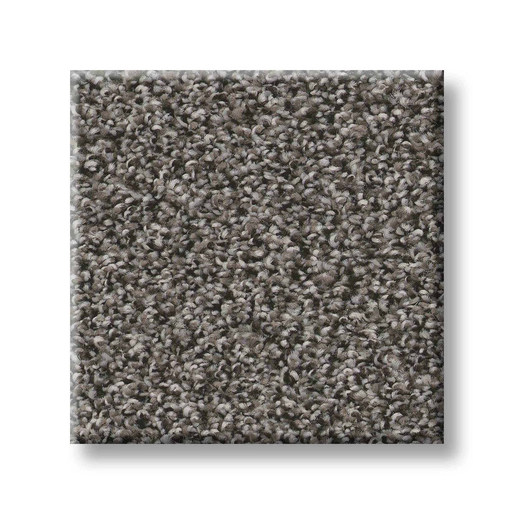 Gold Star Prominence Carpet - Wood Smoke Swatch Thumbnail pupop1