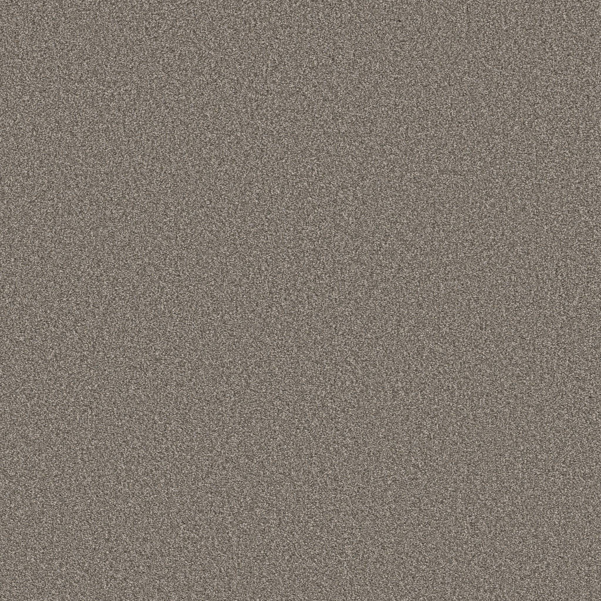 Gold Star Prominence Carpet - Rustic Charm Zoomed Swatch Image