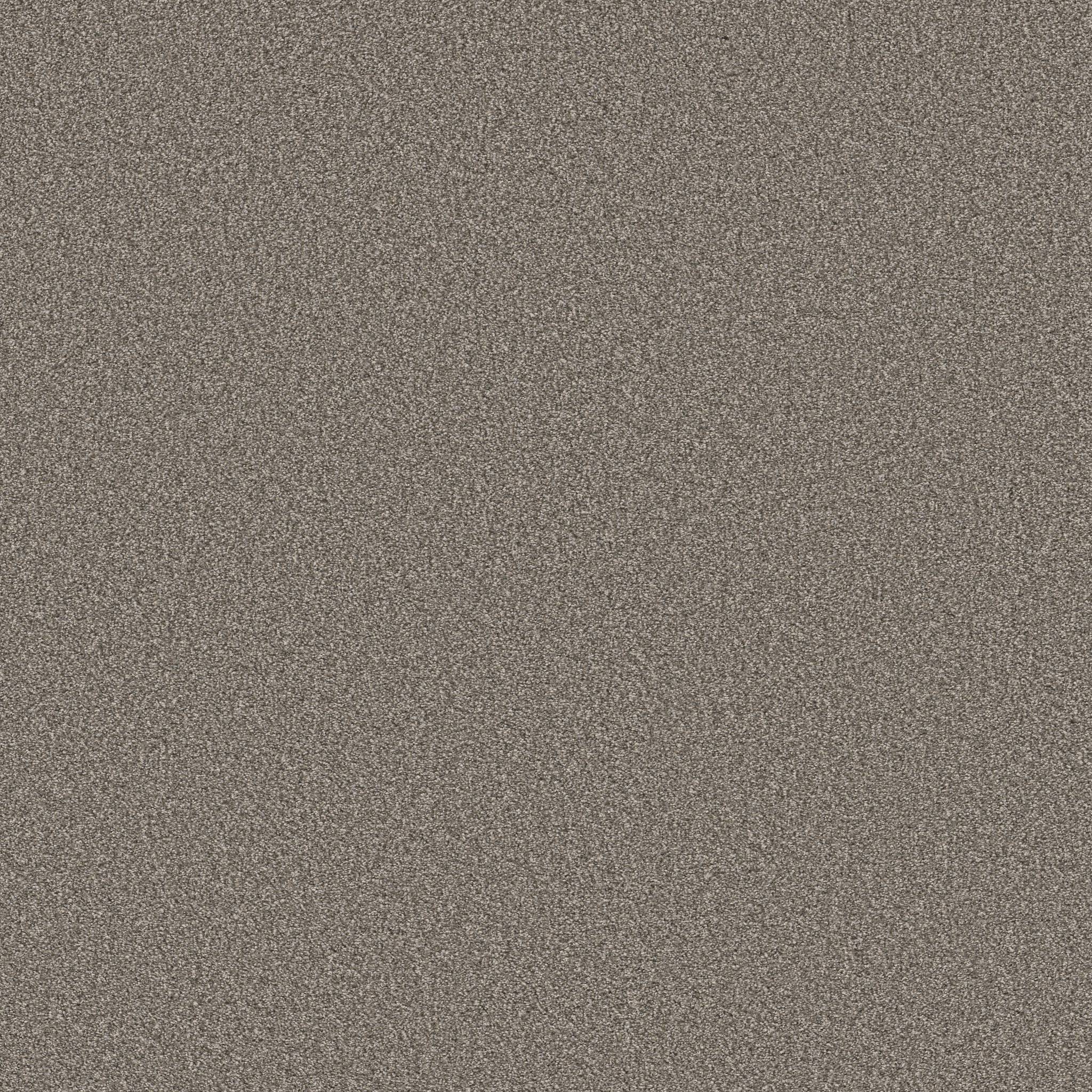 Gold Star Prominence Carpet - Rustic Charm Zoomed Swatch Image