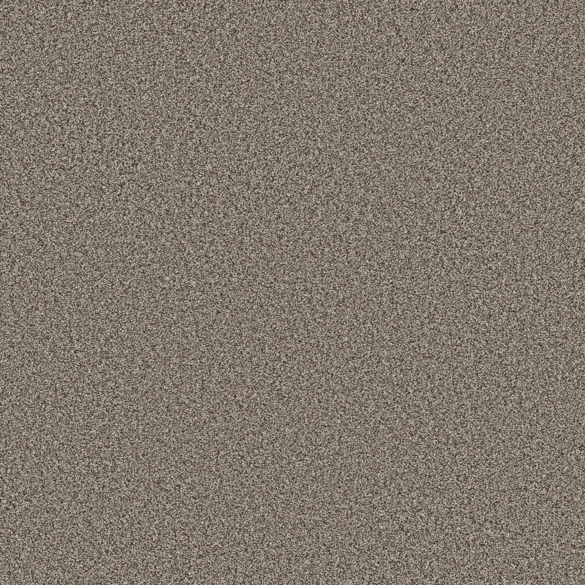 Gold Star Prominence Carpet - Happy Trails Zoomed Swatch Image
