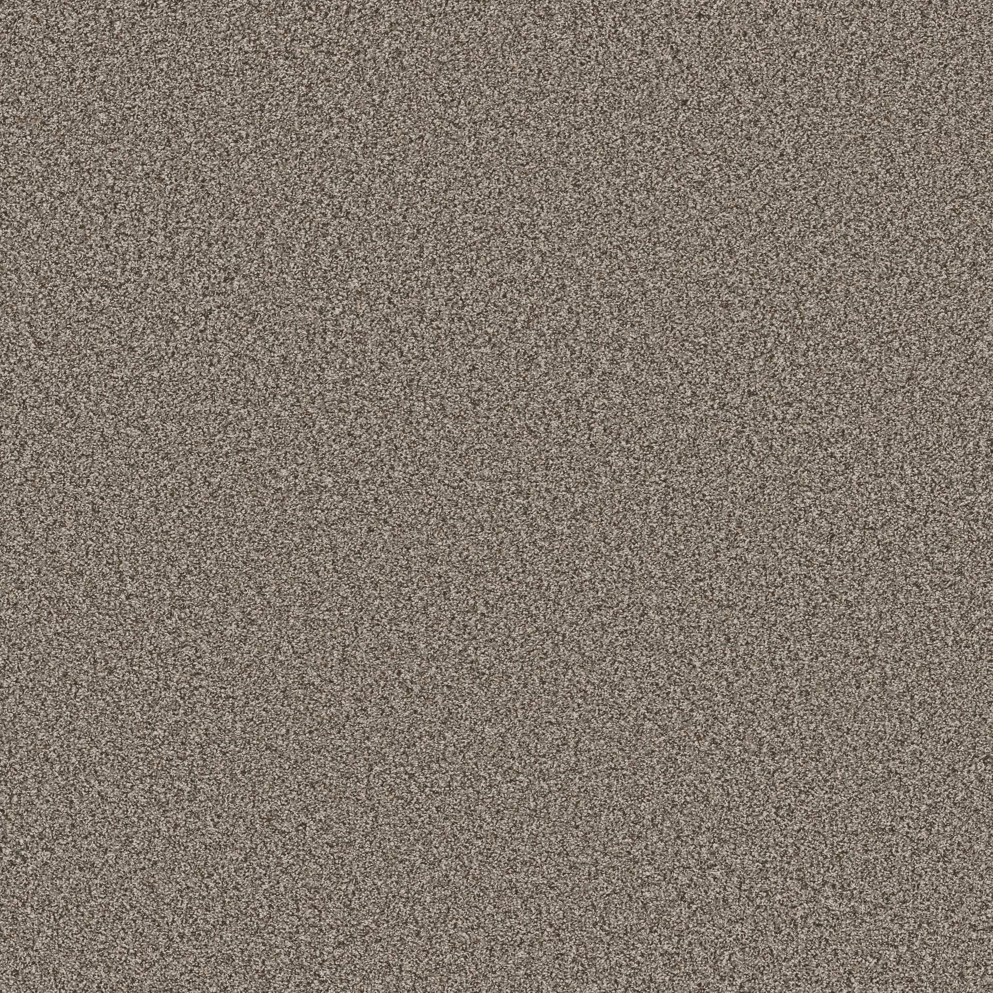 Gold Star Prominence Carpet - Happy Trails Zoomed Swatch Image