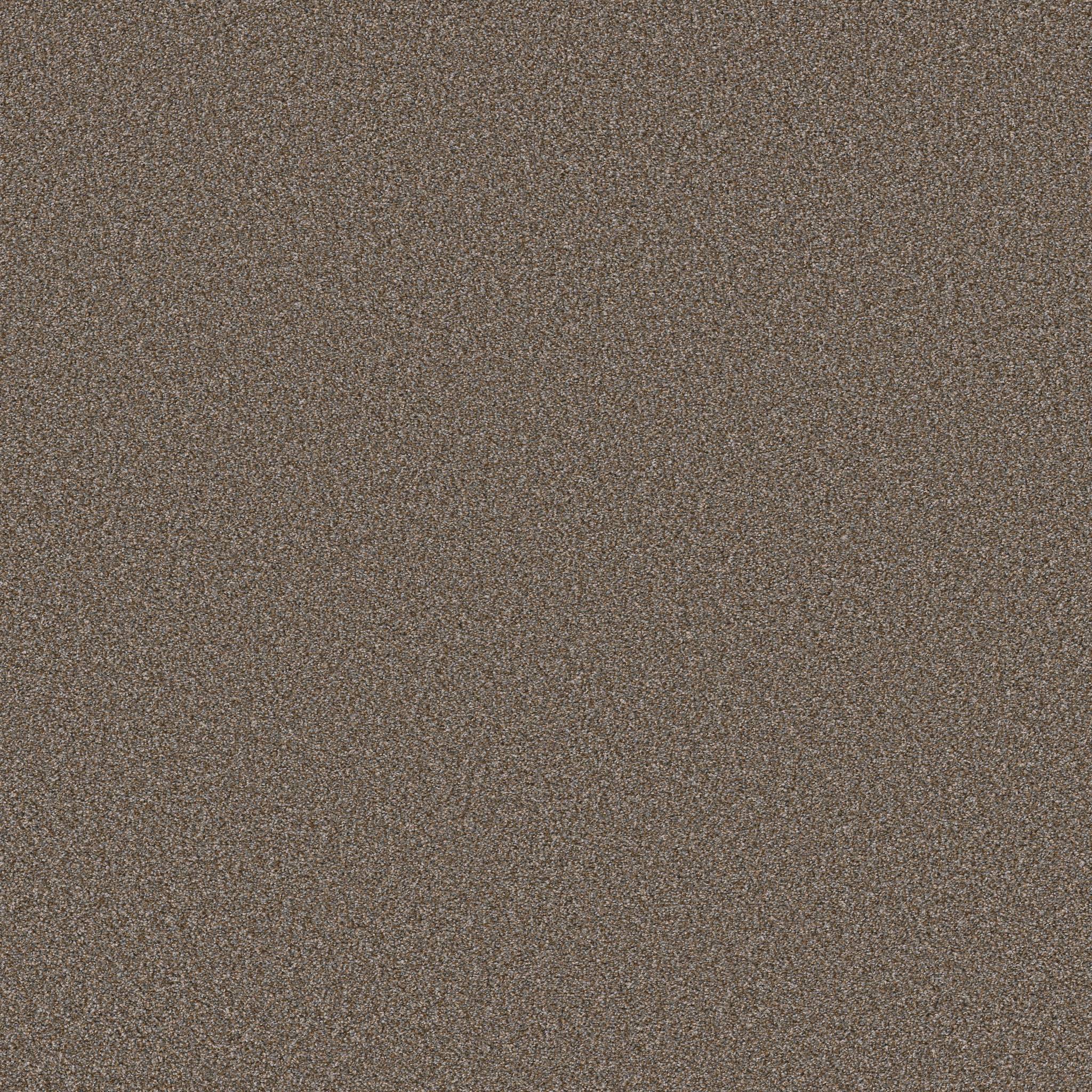 Gold Star Prominence Carpet - Warm Clay Zoomed Swatch Image