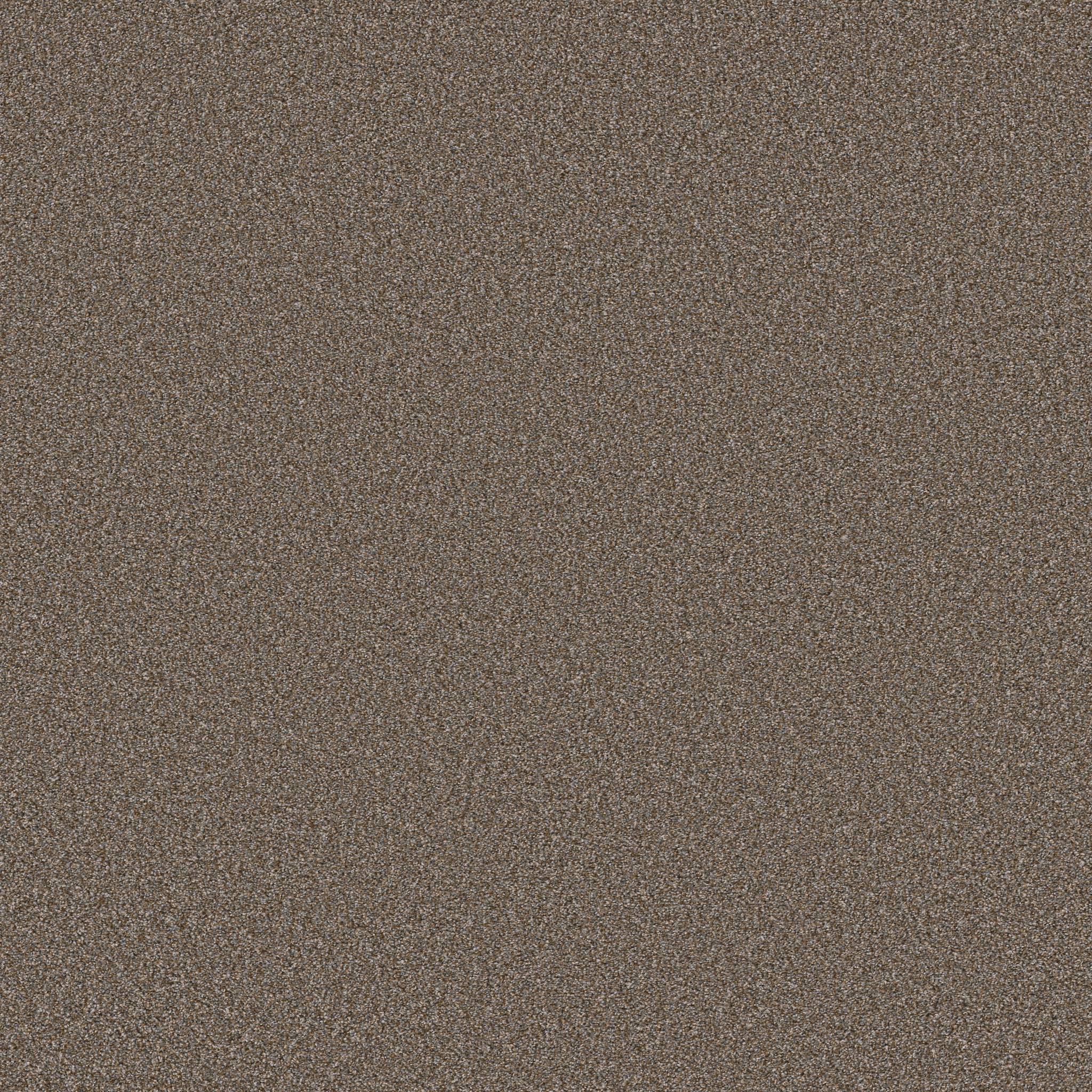 Gold Star Prominence Carpet - Warm Clay Zoomed Swatch Image