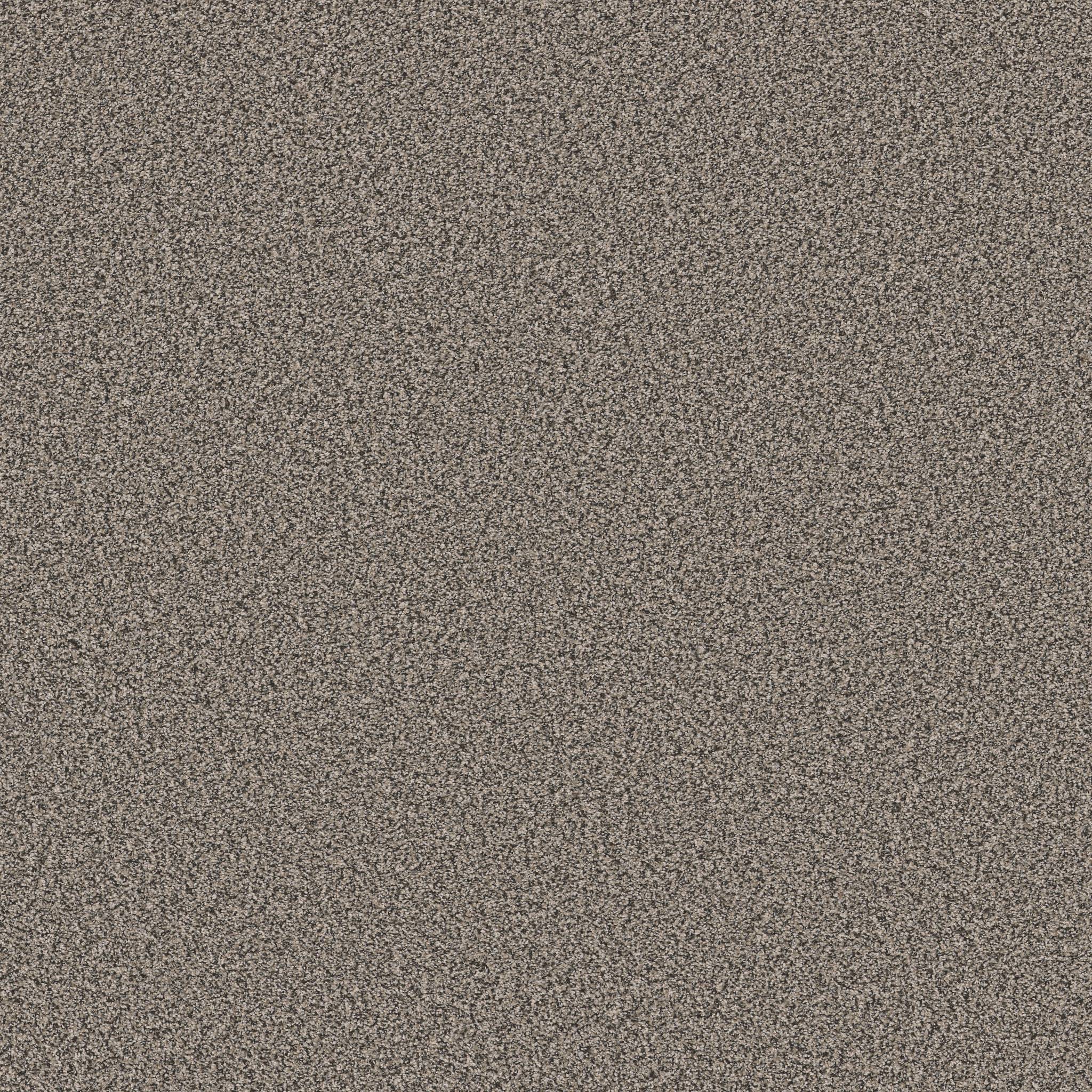 Gold Star Prominence Carpet - Attic Zoomed Swatch Image
