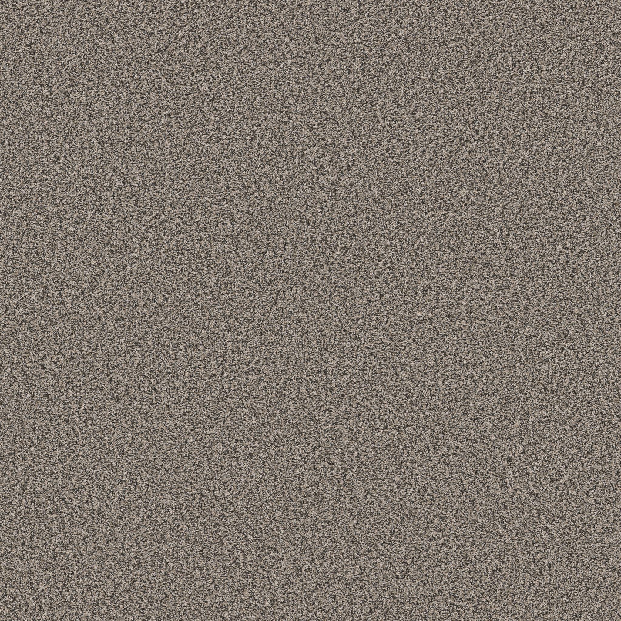 Gold Star Prominence Carpet - Attic Zoomed Swatch Image