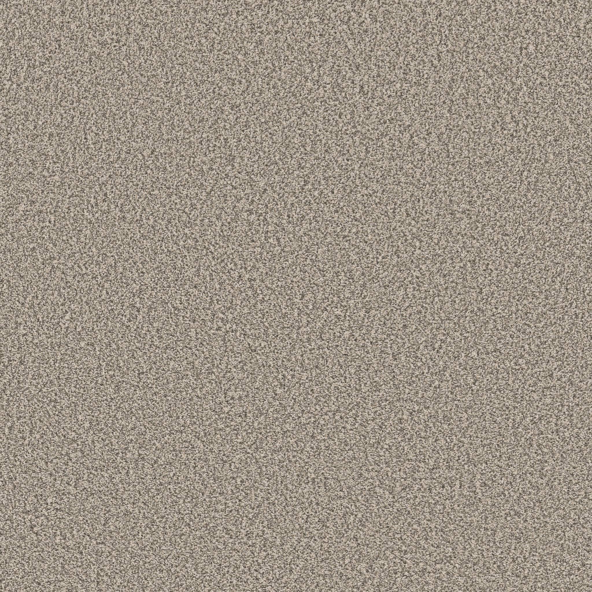 Executive Prominence Carpet - Winter Beige Zoomed Swatch Image