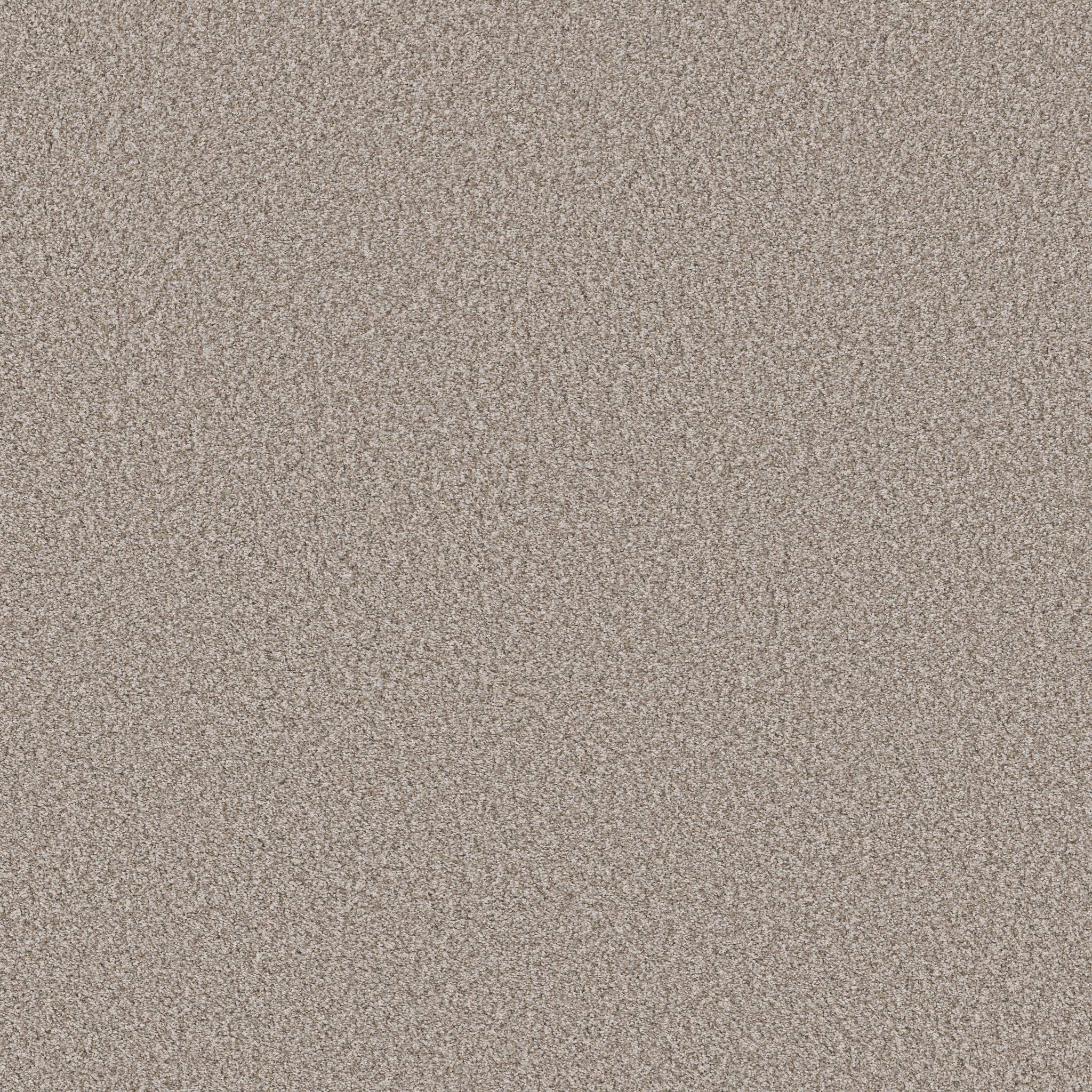 Executive Prominence Carpet - Alabaster Zoomed Swatch Image