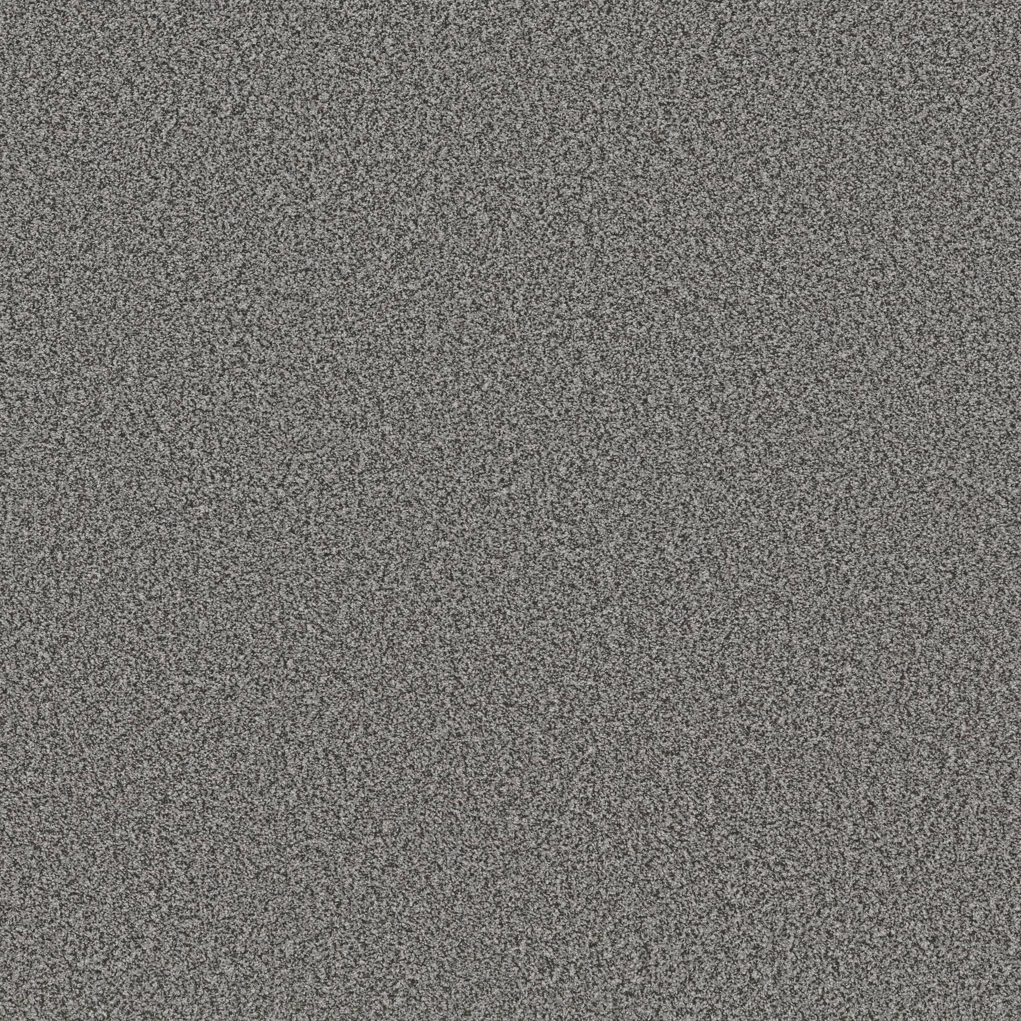 Executive Prominence Carpet - Putty Zoomed Swatch Image