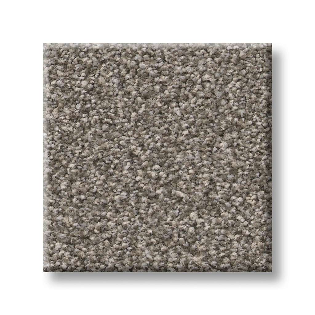 Executive Prominence Carpet - Rustic Charm  Swatch Image 