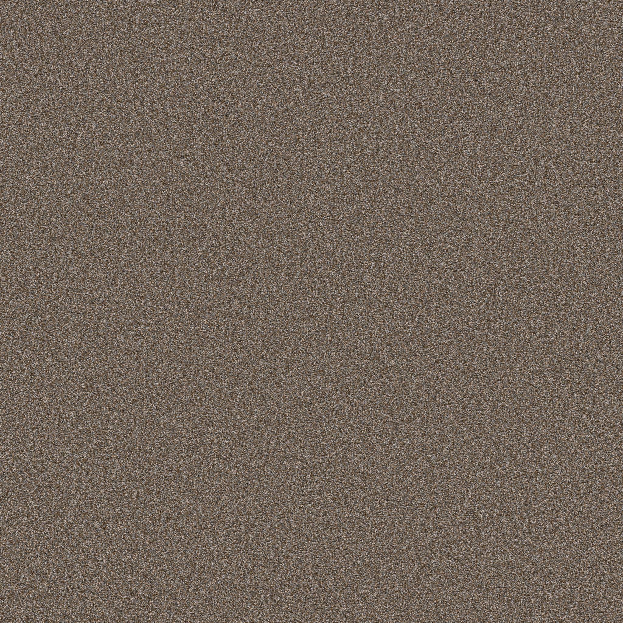 Executive Prominence Carpet - Warm Clay Zoomed Swatch Image
