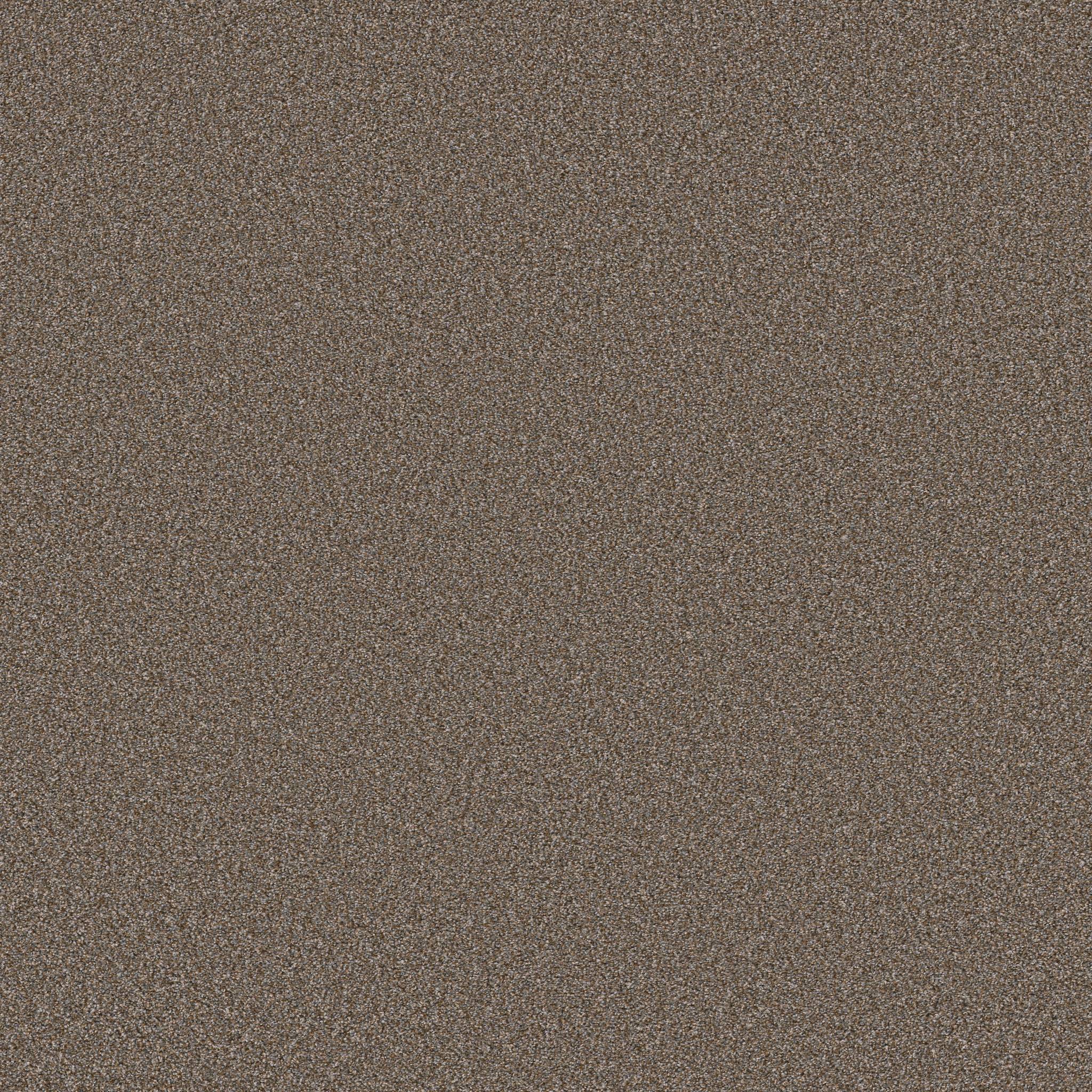 Executive Prominence Carpet - Warm Clay Zoomed Swatch Image