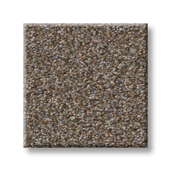 Style Executive Prominence Carpet - Warm Clay Swatch