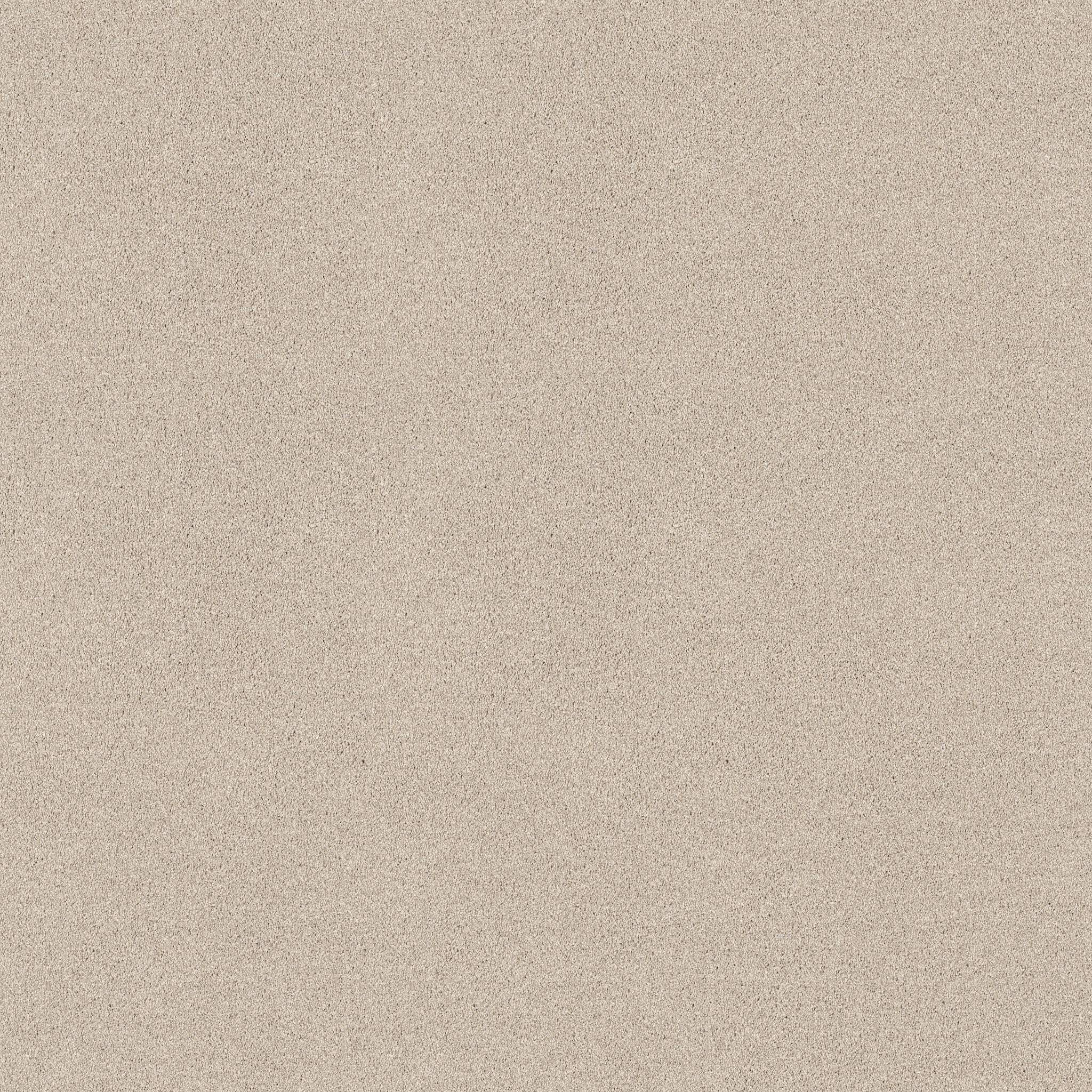 Medley Carpet - Adobe Zoomed Swatch Image