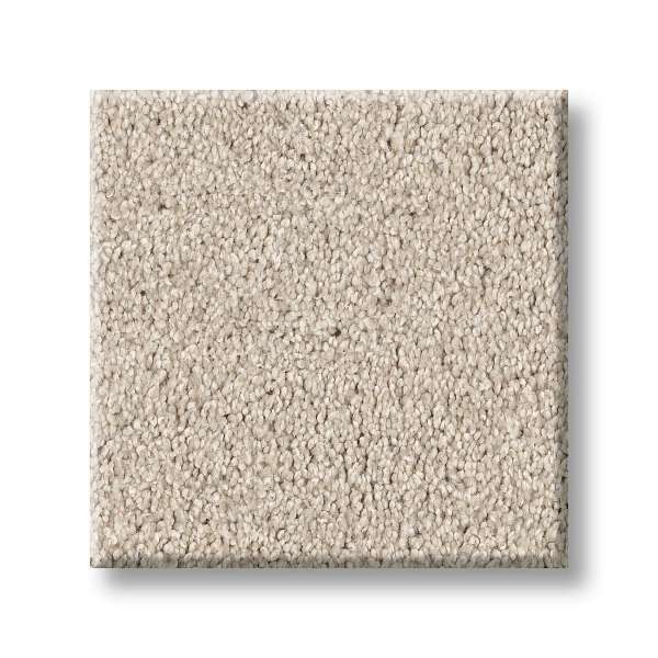 Style Medley Carpet - Adobe Swatch