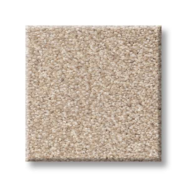 Style Medley Carpet - Mesa Swatch