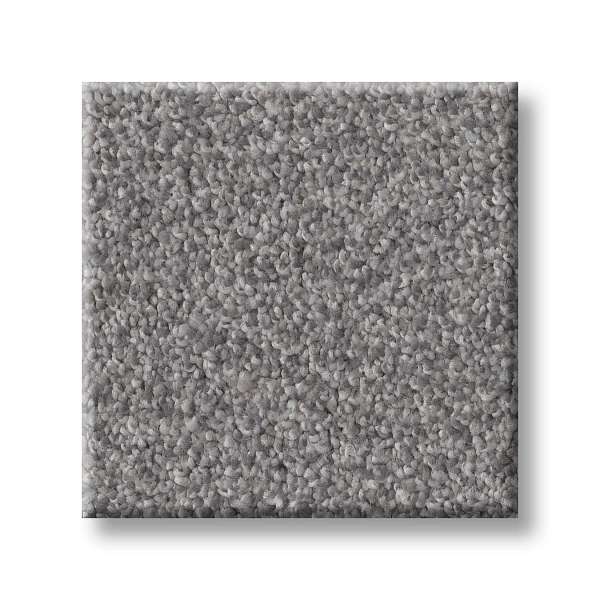 Style Medley Carpet - Wet Rock Swatch