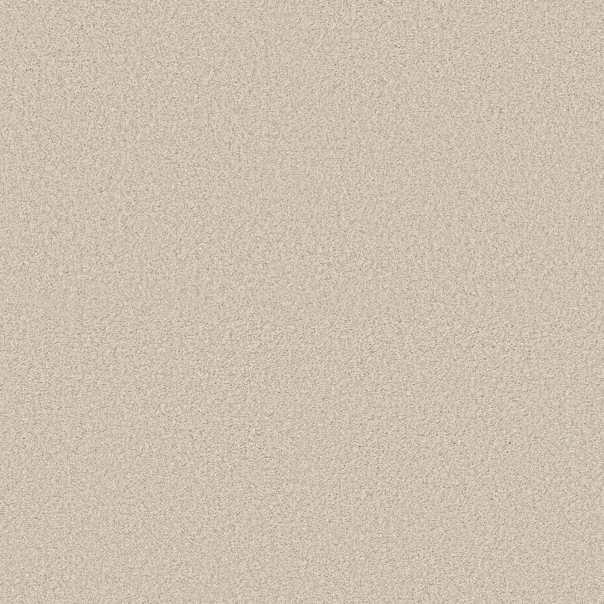 Gold Star Medley Carpet - Adobe Zoomed Swatch Image