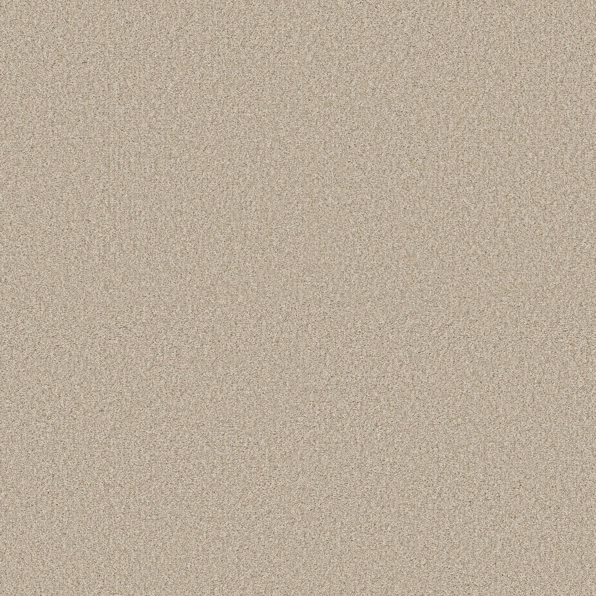 Gold Star Medley Carpet - Mesa Zoomed Swatch Image