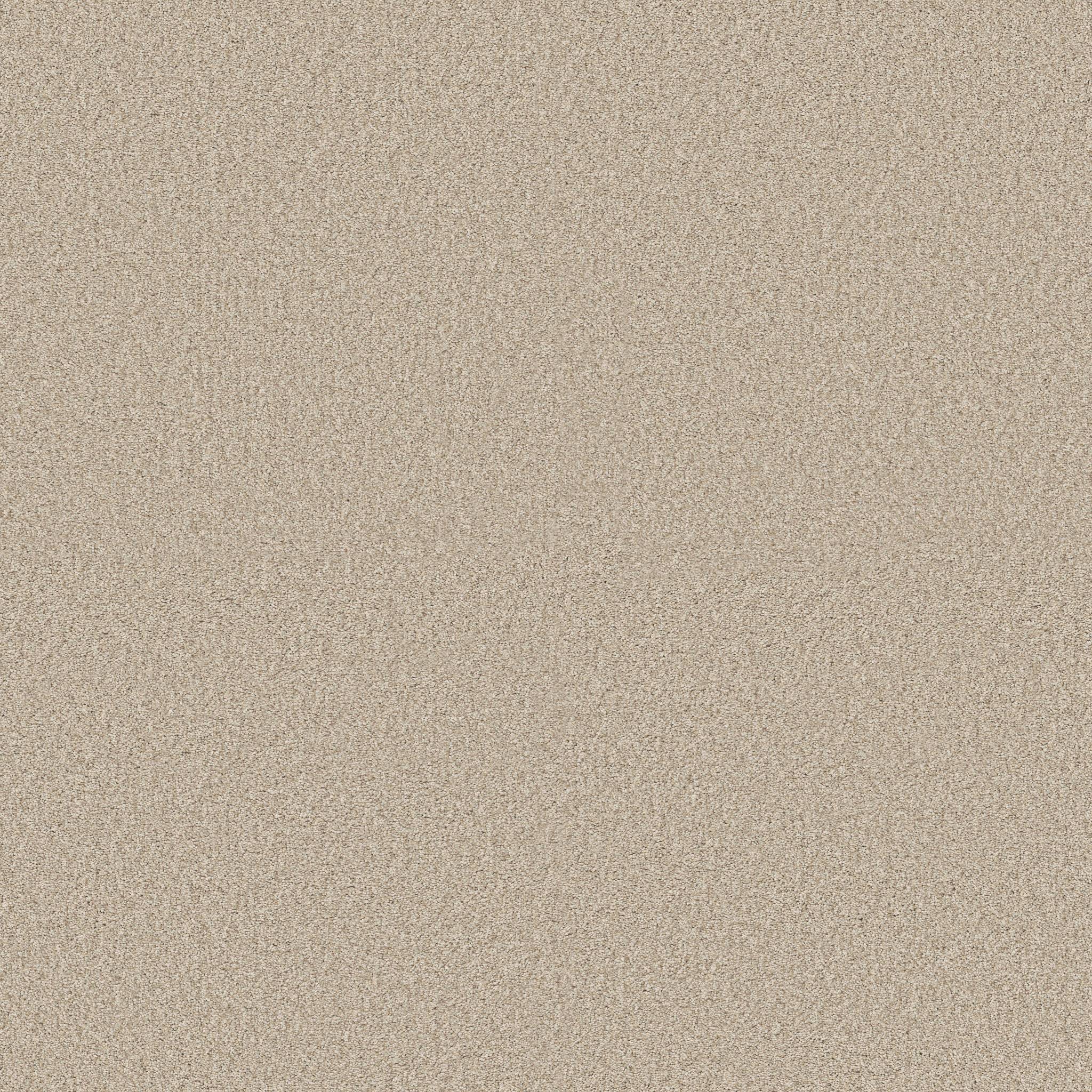 Gold Star Medley Carpet - Mesa Zoomed Swatch Image