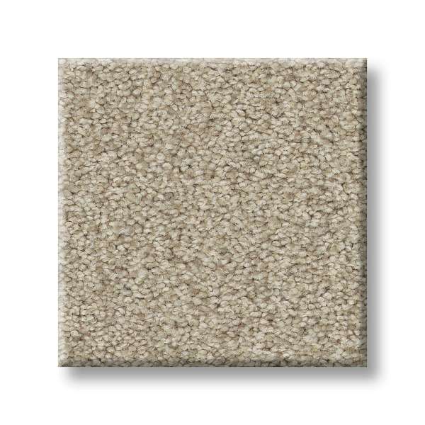 Style Gold Star Medley Carpet - Country Charm Swatch