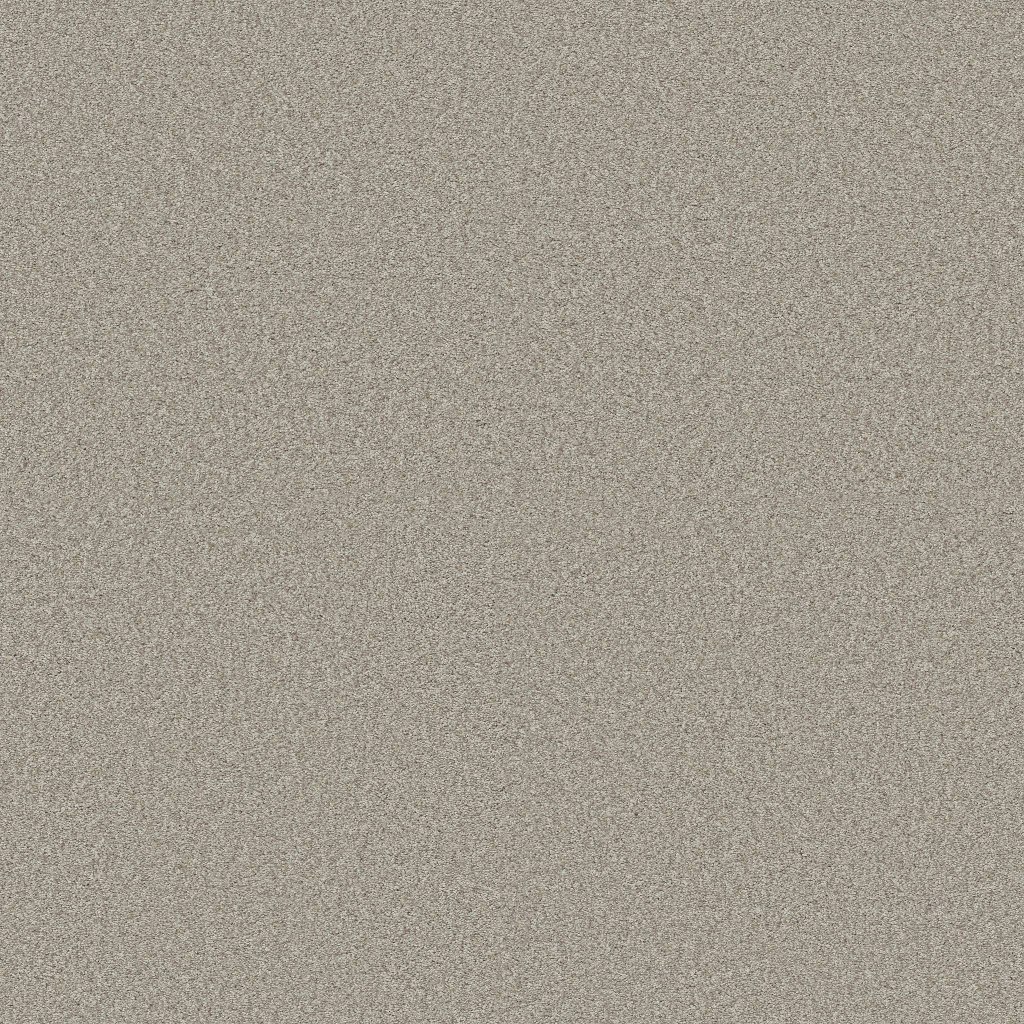 Gold Star Medley Carpet - Anonymous Zoomed Swatch Image