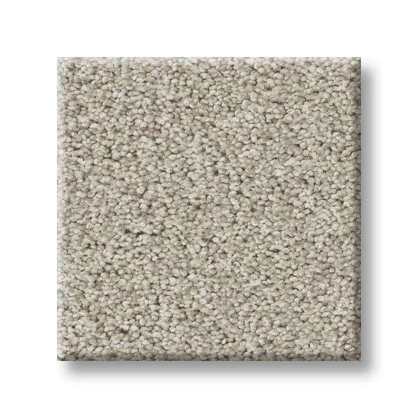 Shaw Simply The Best Embellished 00113 Luxury Cream Polyester Carpet —  Stone & Tile Shoppe, Inc.