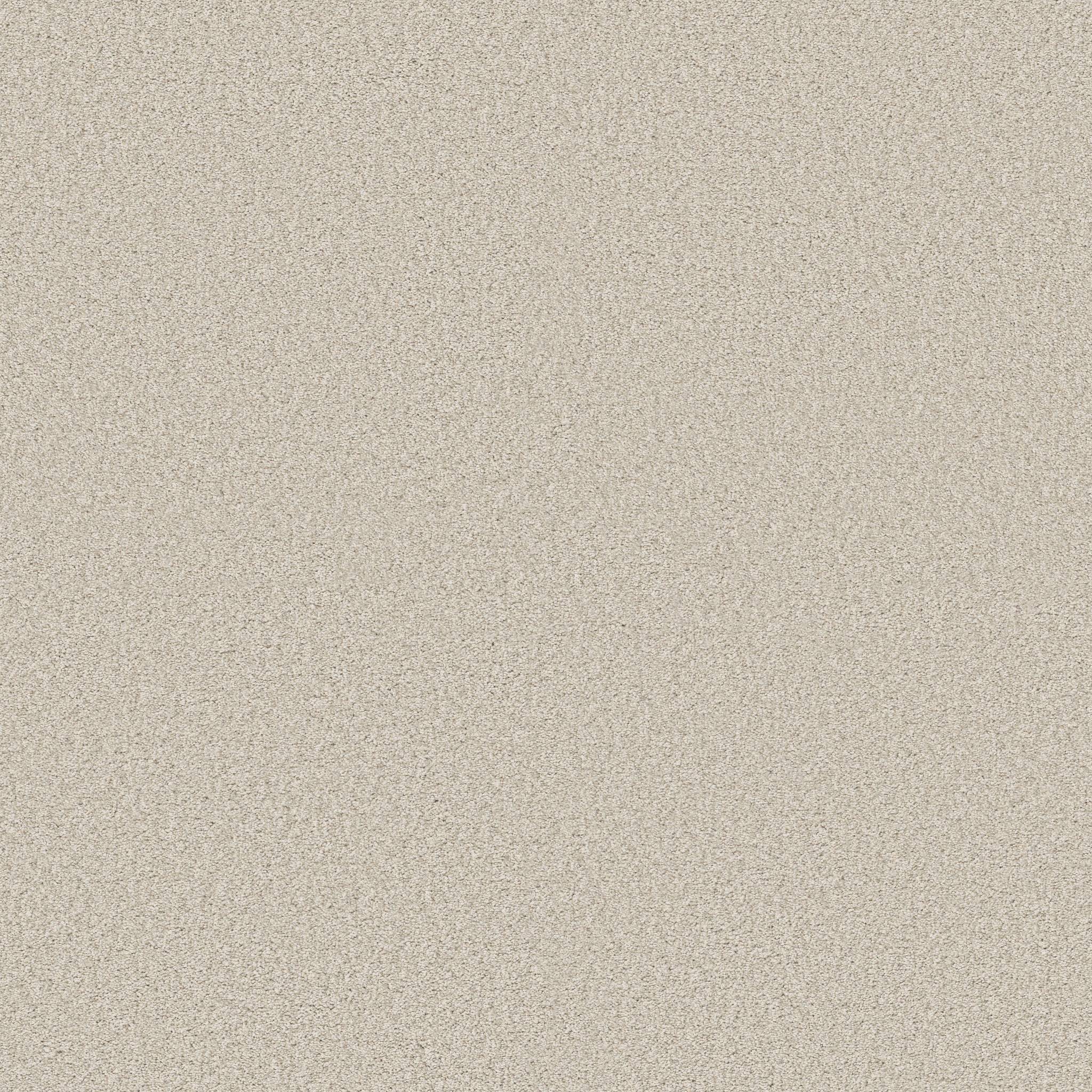 Gold Star Medley Carpet - Porcelain Zoomed Swatch Image
