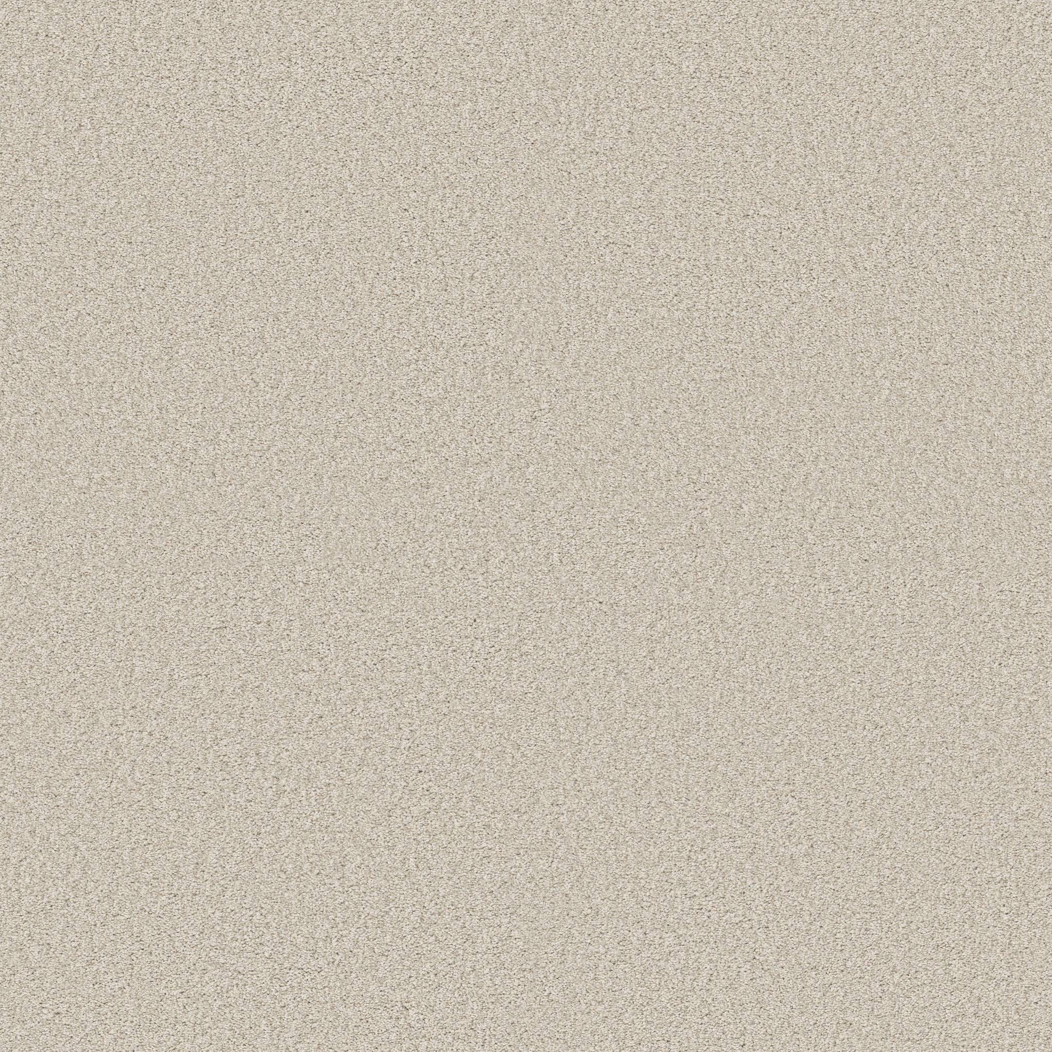 Gold Star Medley Carpet - Porcelain Zoomed Swatch Image