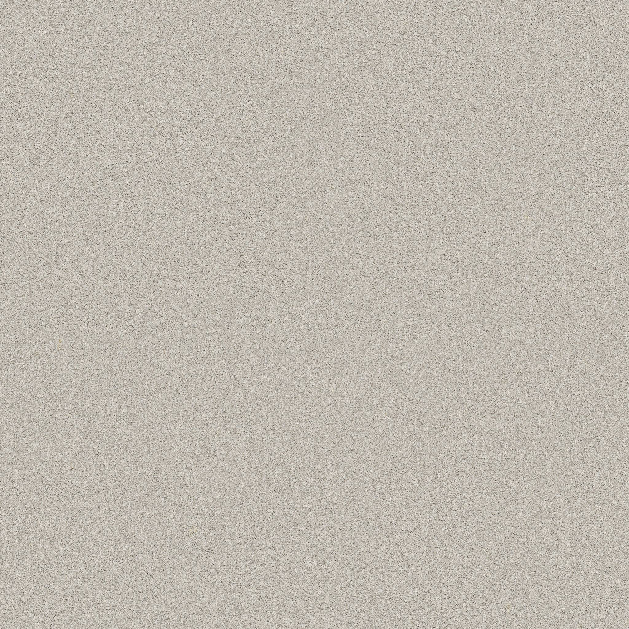 Gold Star Medley Carpet - Thin Ice Zoomed Swatch Image