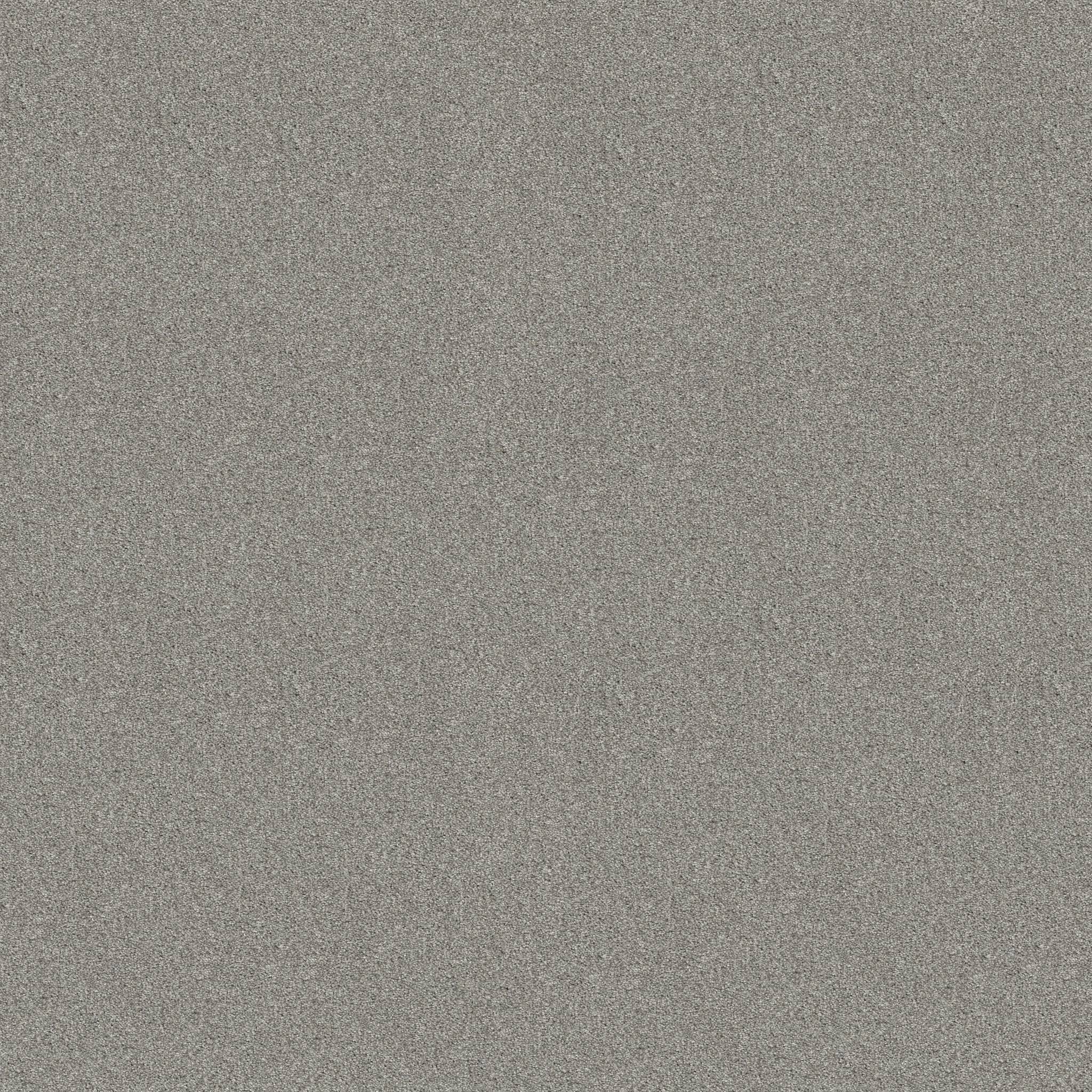 Gold Star Medley Carpet - Pogo Stick Zoomed Swatch Image
