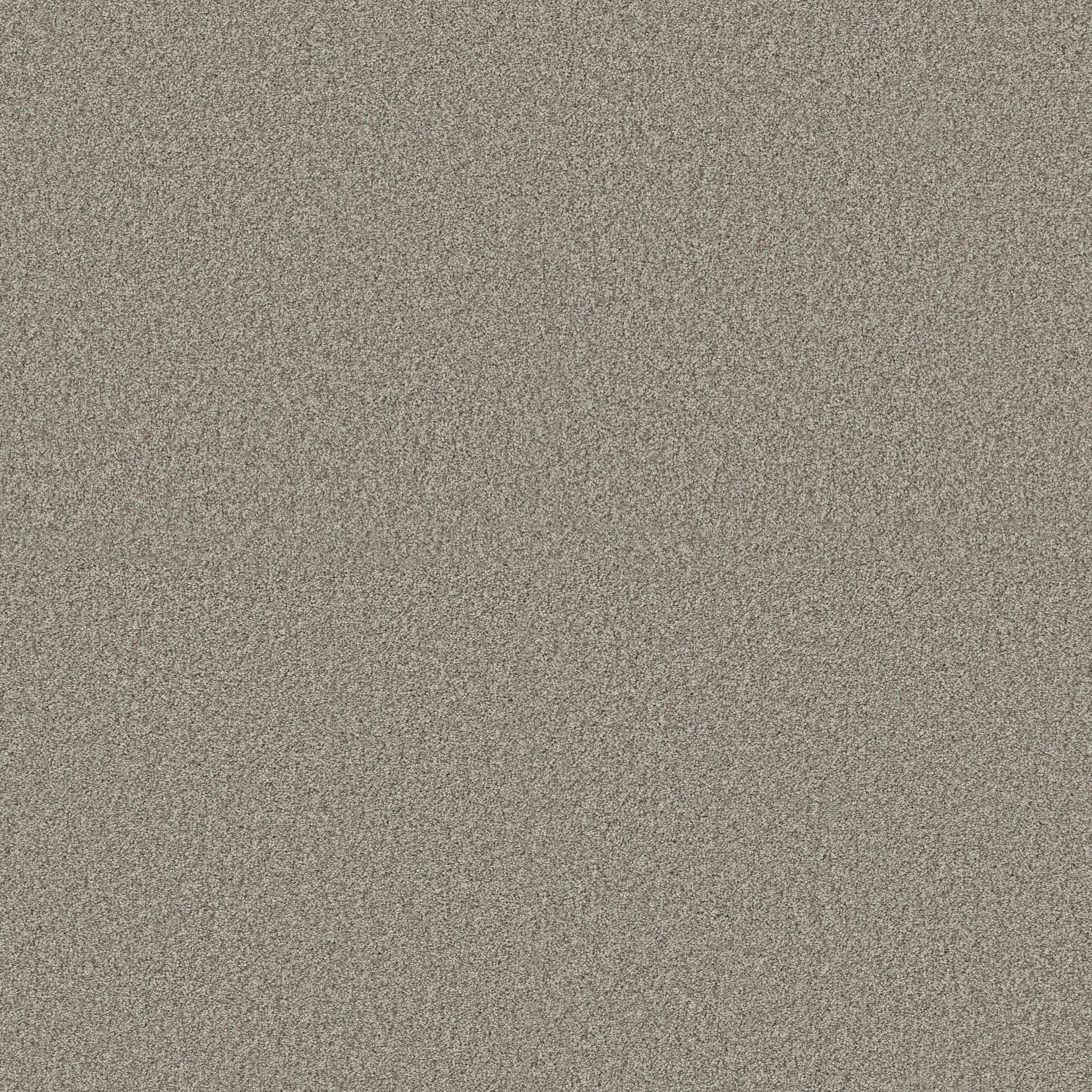 Gold Star Medley Carpet - Rustic Zoomed Swatch Image