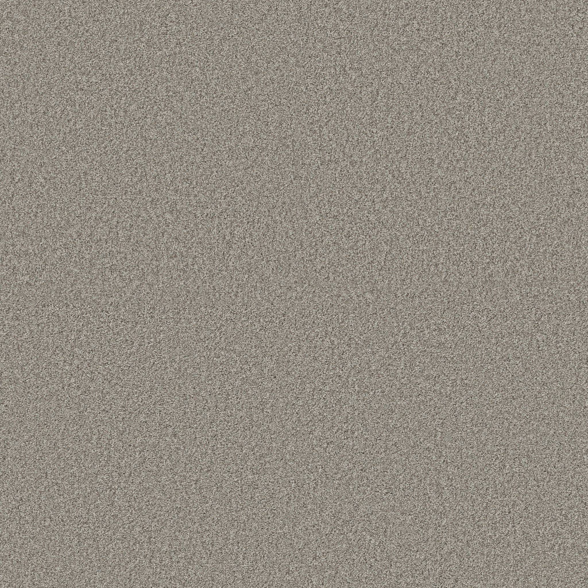 Gold Star Medley Carpet - Rustic Zoomed Swatch Image