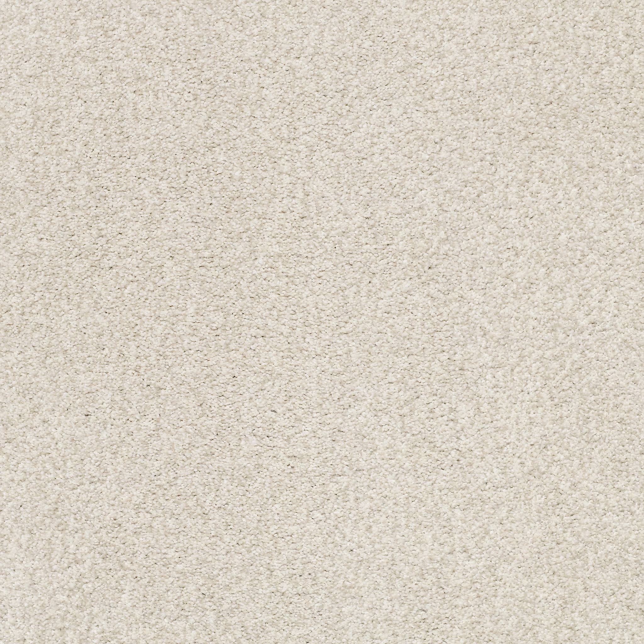 Executive Medley Carpet - Adobe Zoomed Swatch Image