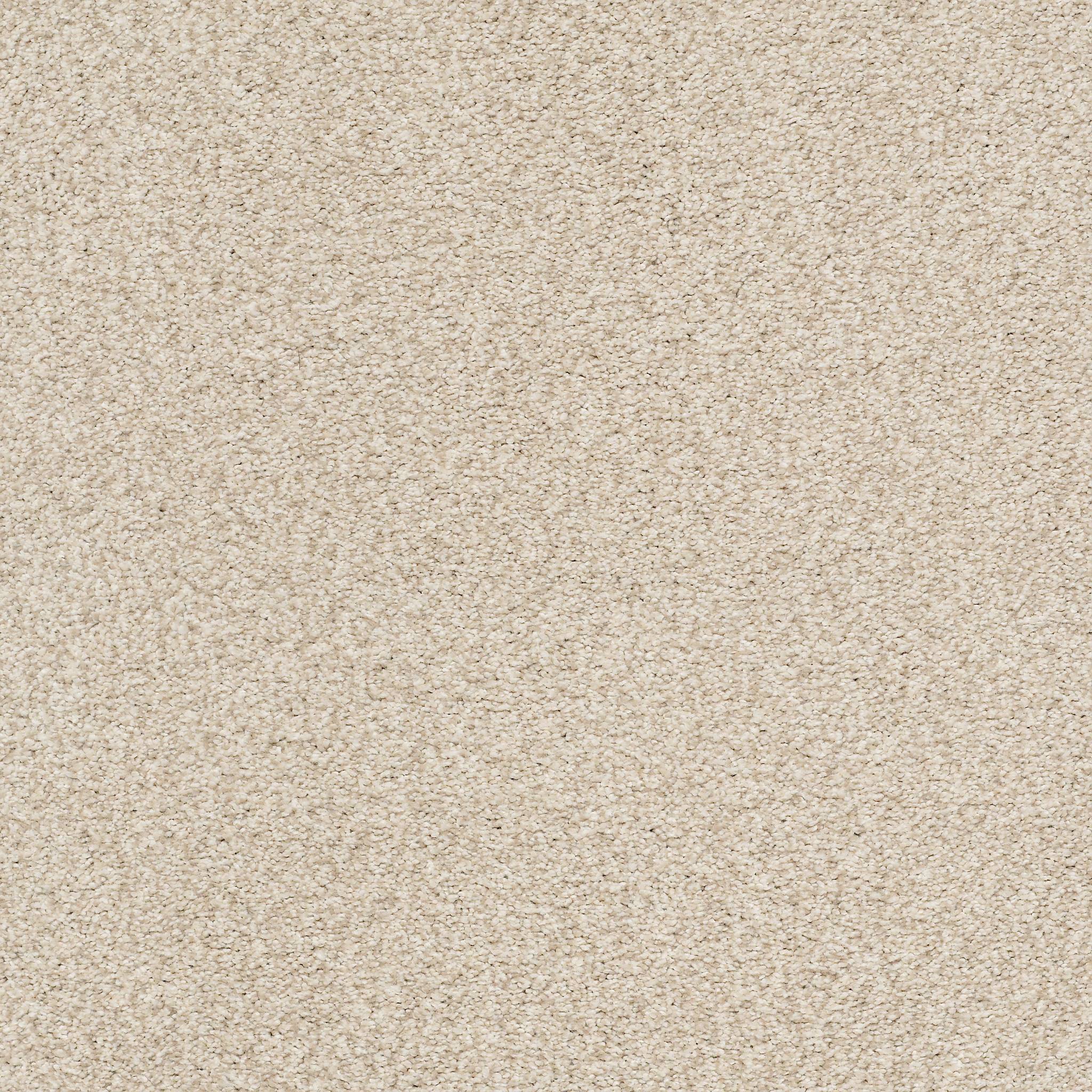 Executive Medley Carpet - Mesa Zoomed Swatch Image