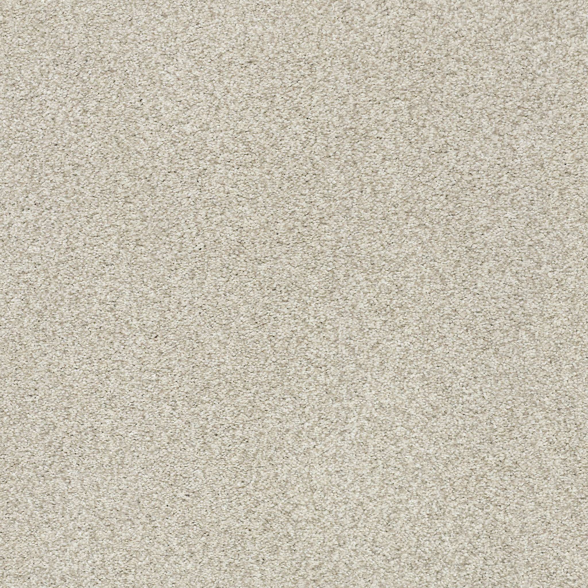Executive Medley Carpet - Country Charm Zoomed Swatch Image