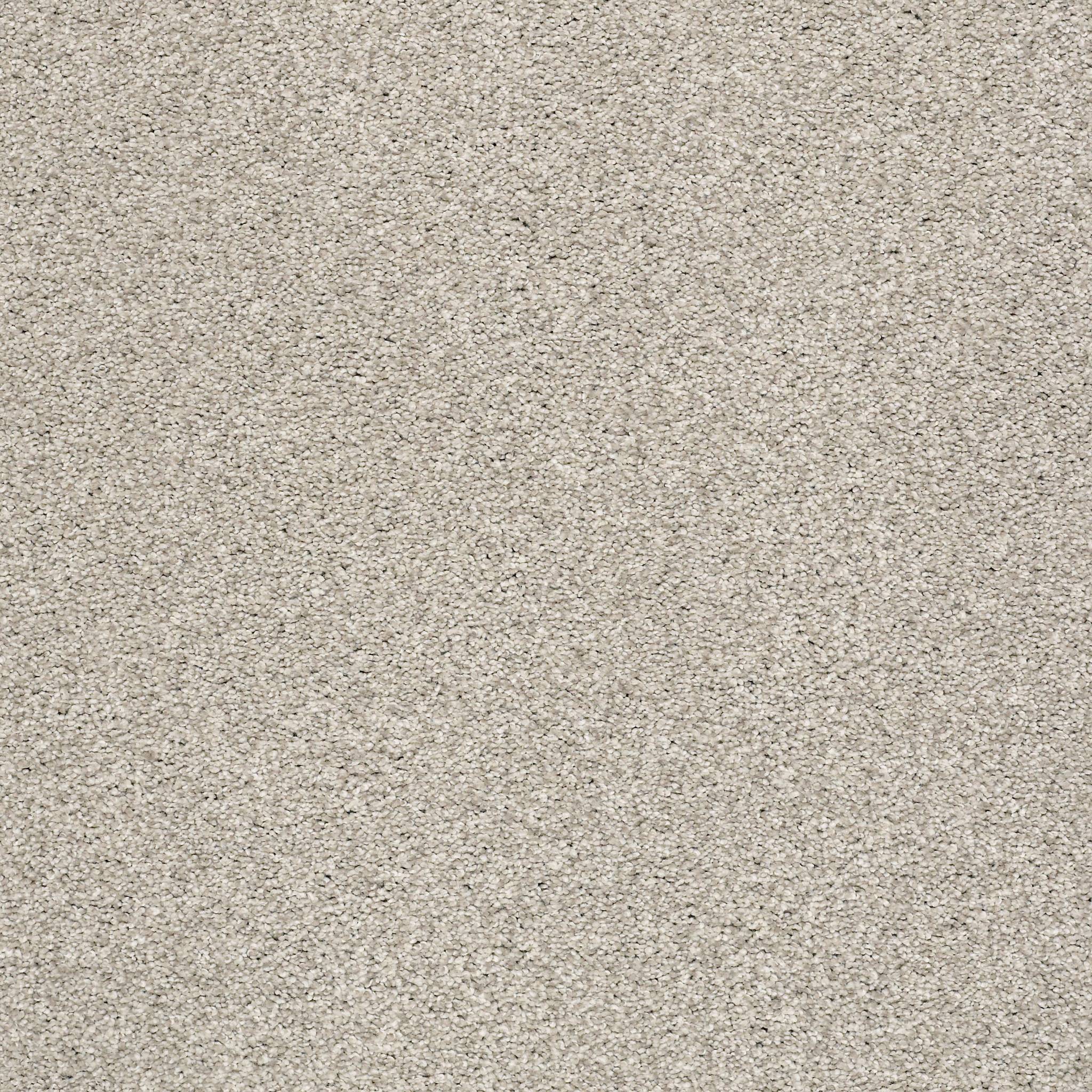Executive Medley Carpet - Anonymous Zoomed Swatch Image