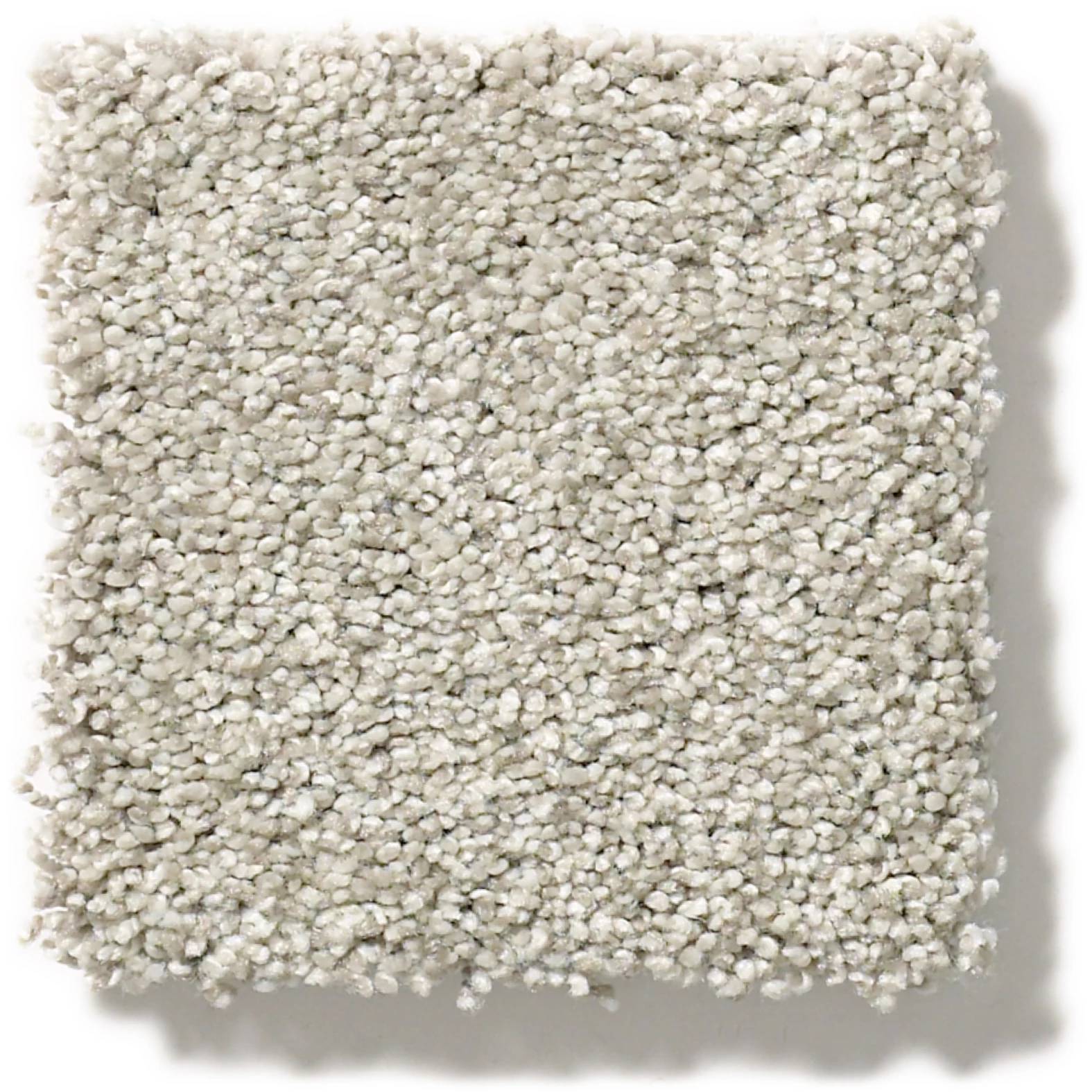 Executive Medley Carpet - Anonymous Swatch Thumbnail pupop1