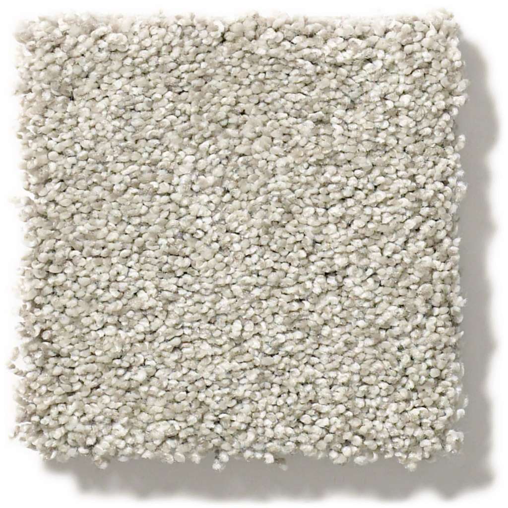 Executive Medley Carpet - Anonymous  Swatch Image 