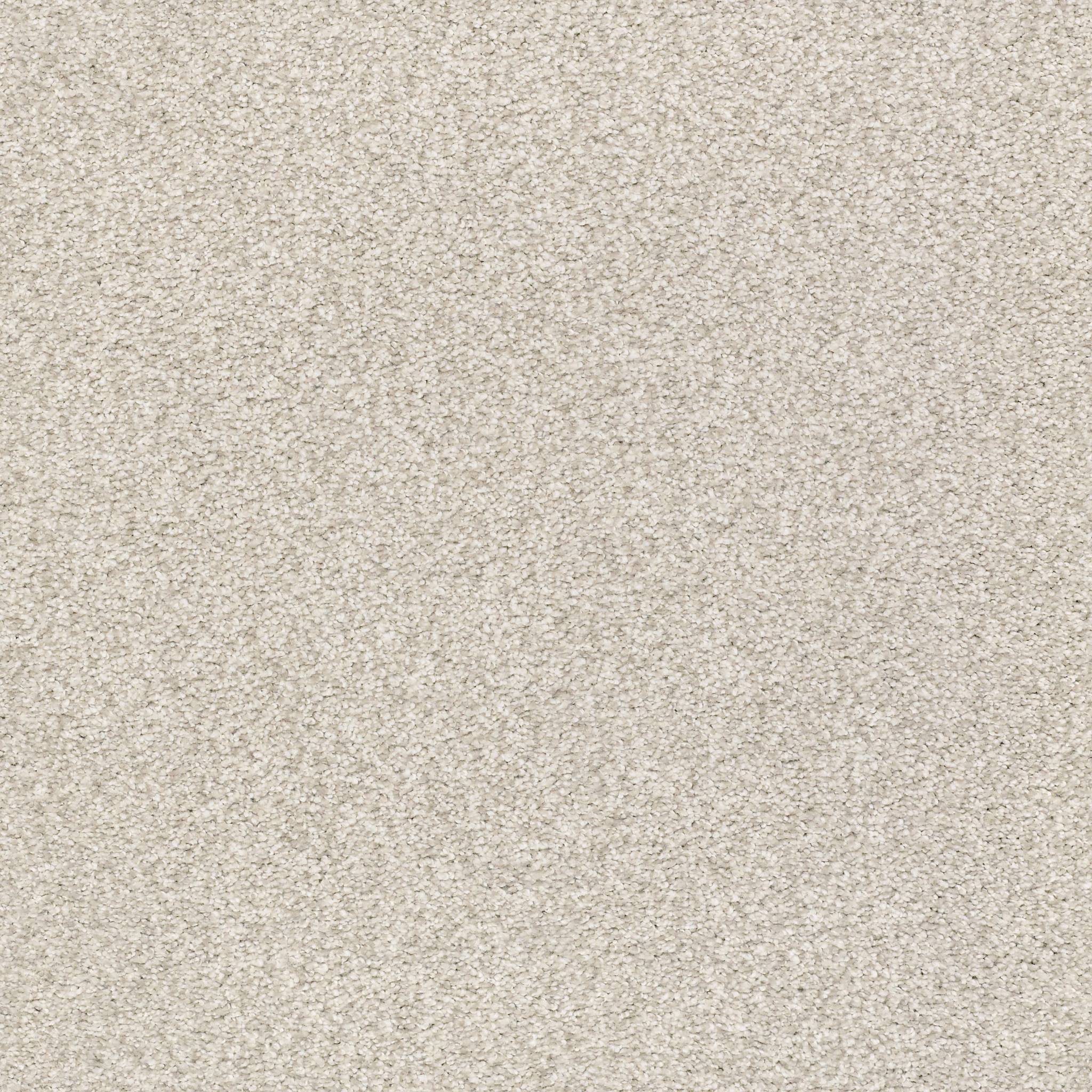 Executive Medley Carpet - Dainty Lace Zoomed Swatch Image