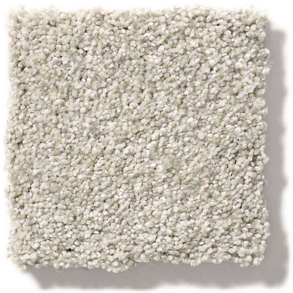 Executive Medley Carpet - Dainty Lace  Swatch Image 