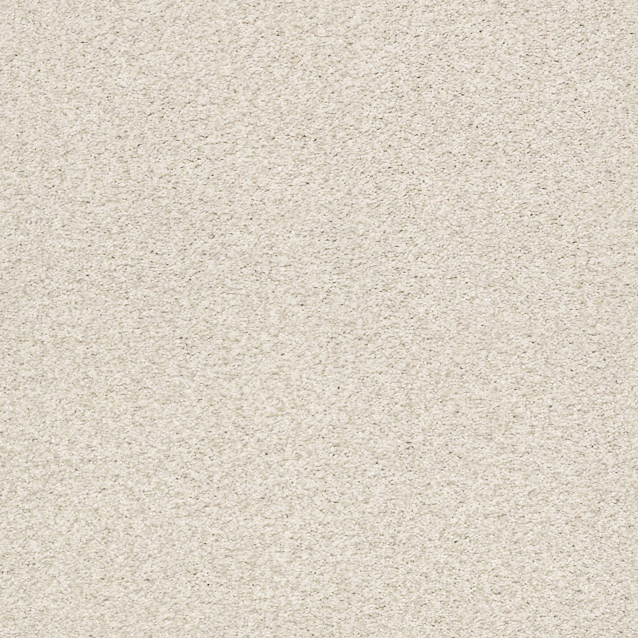 Executive Medley Carpet - Porcelain Zoomed Swatch Image