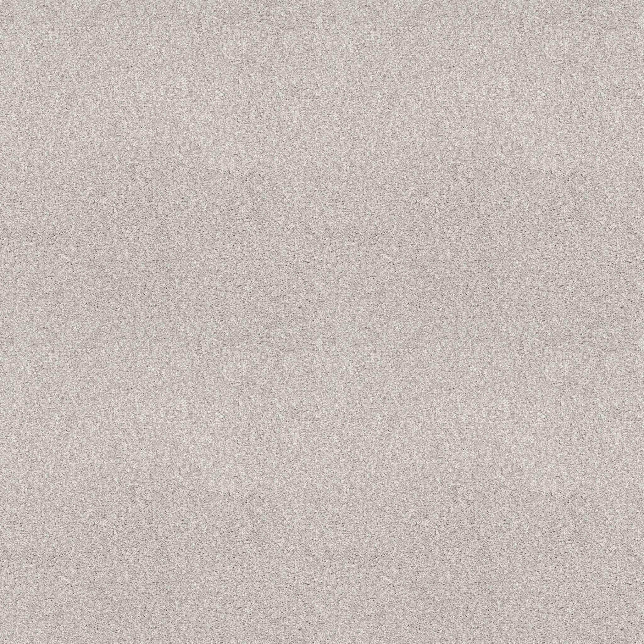 Executive Medley Carpet - Thin Ice Zoomed Swatch Image
