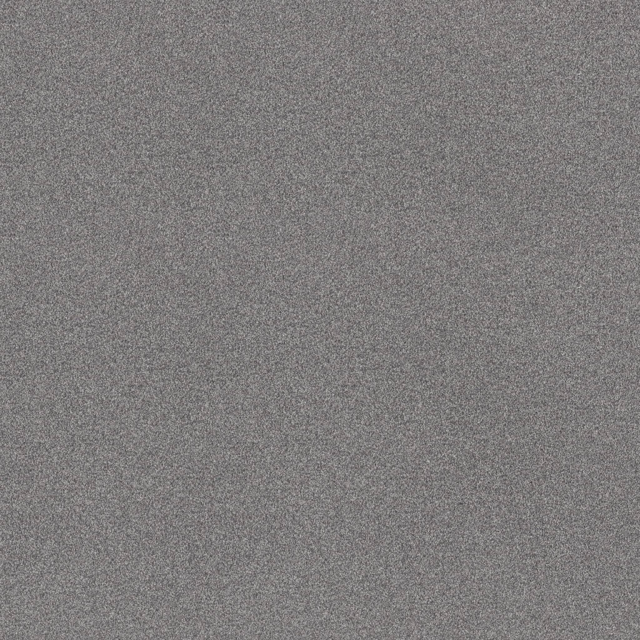 Executive Medley Carpet - Wet Rock Zoomed Swatch Image