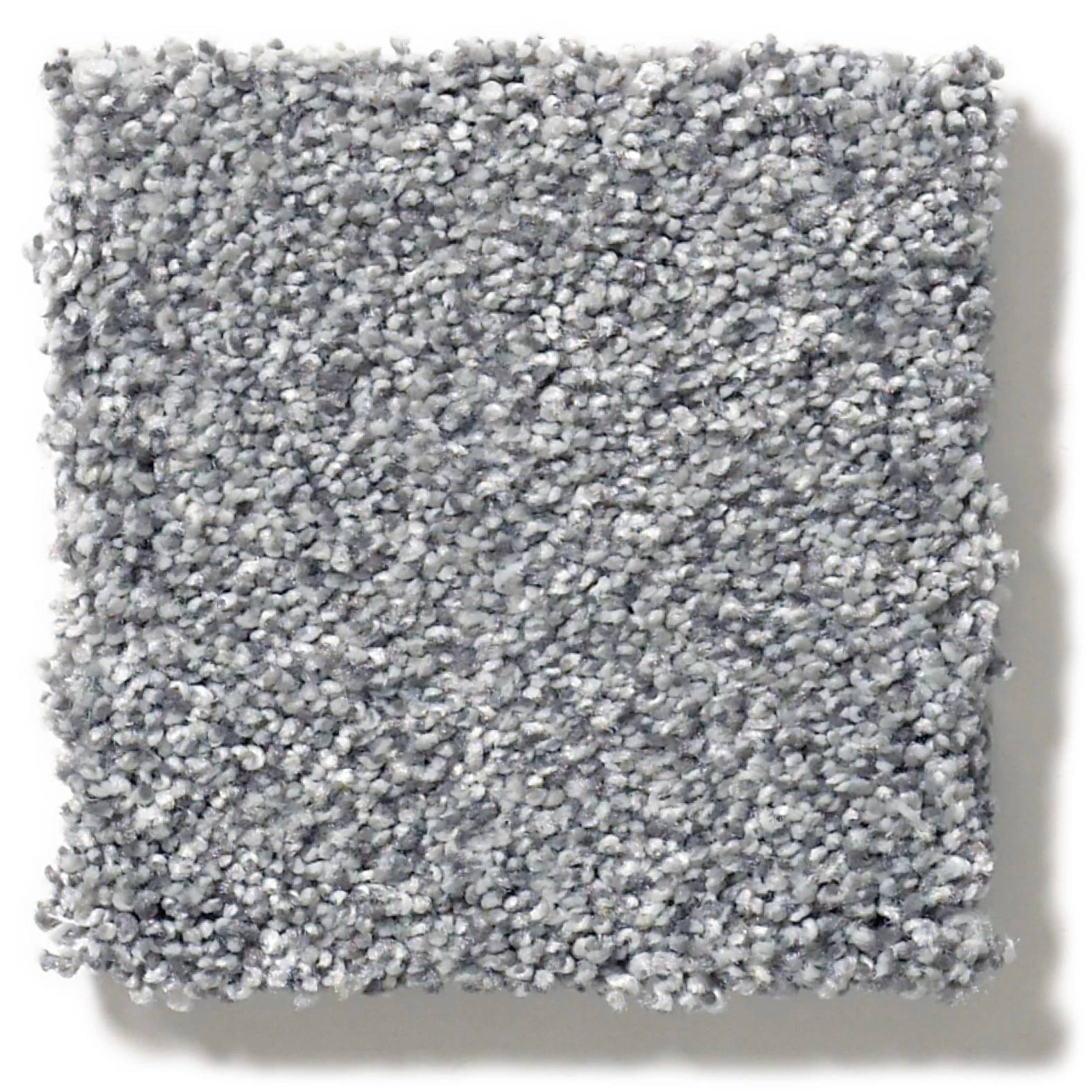 Executive Medley Carpet - Wet Rock Swatch Thumbnail pupop1