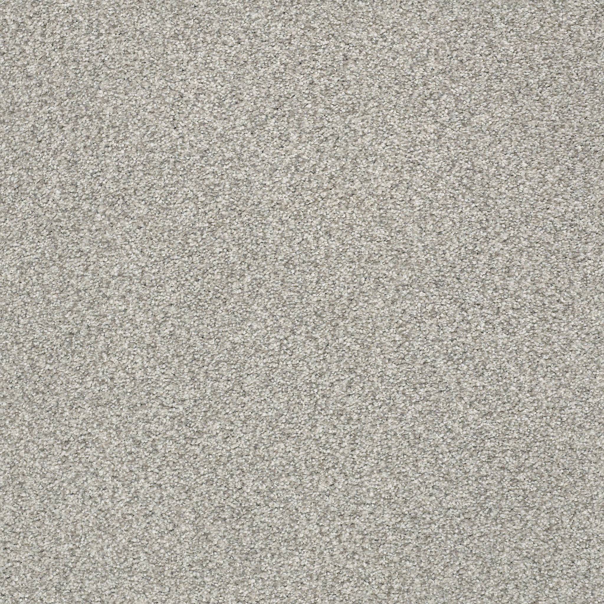 Executive Medley Carpet - Pogo Stick Zoomed Swatch Image
